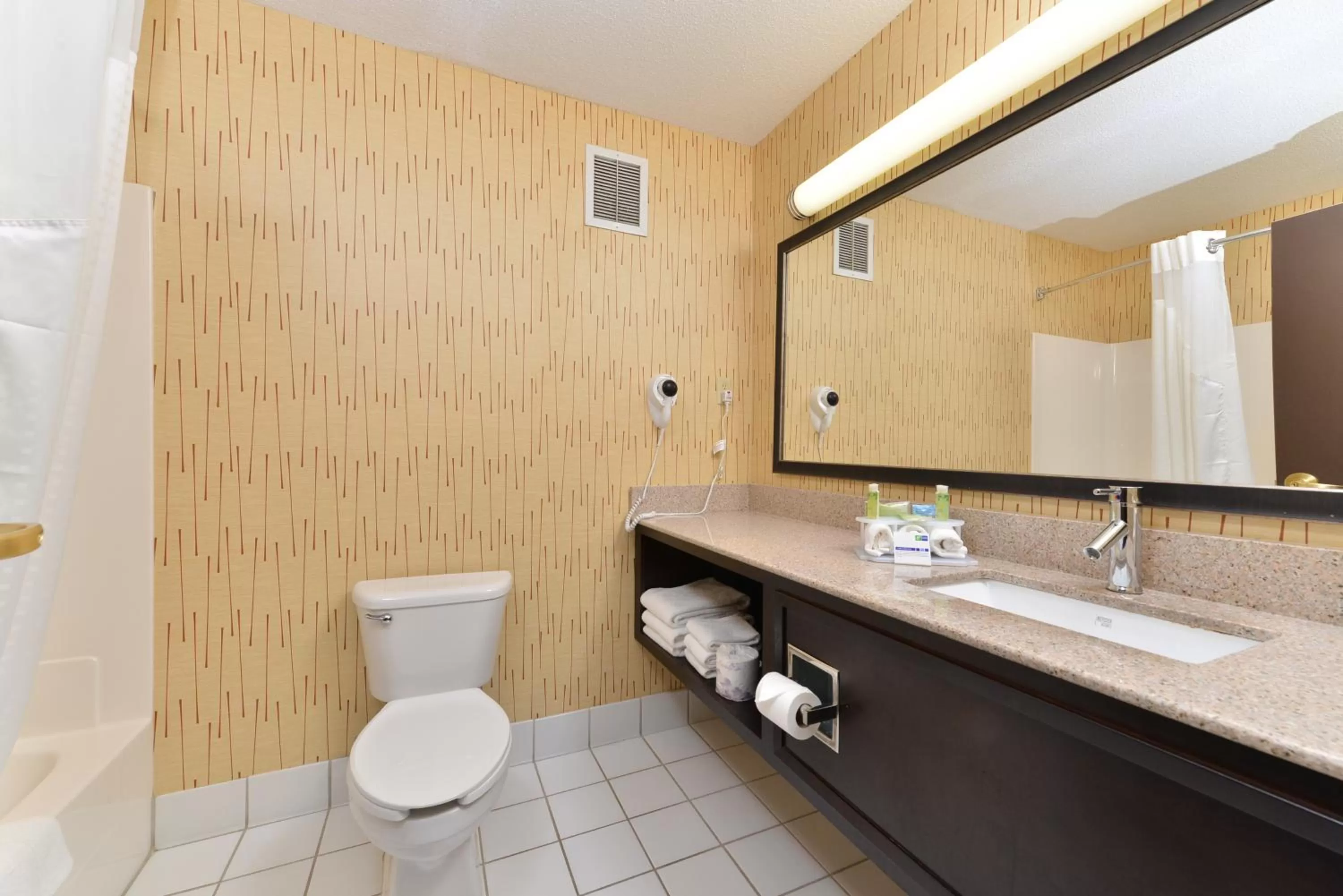 Bathroom in Holiday Inn Express St. Paul South - Inver Grove Heights by IHG