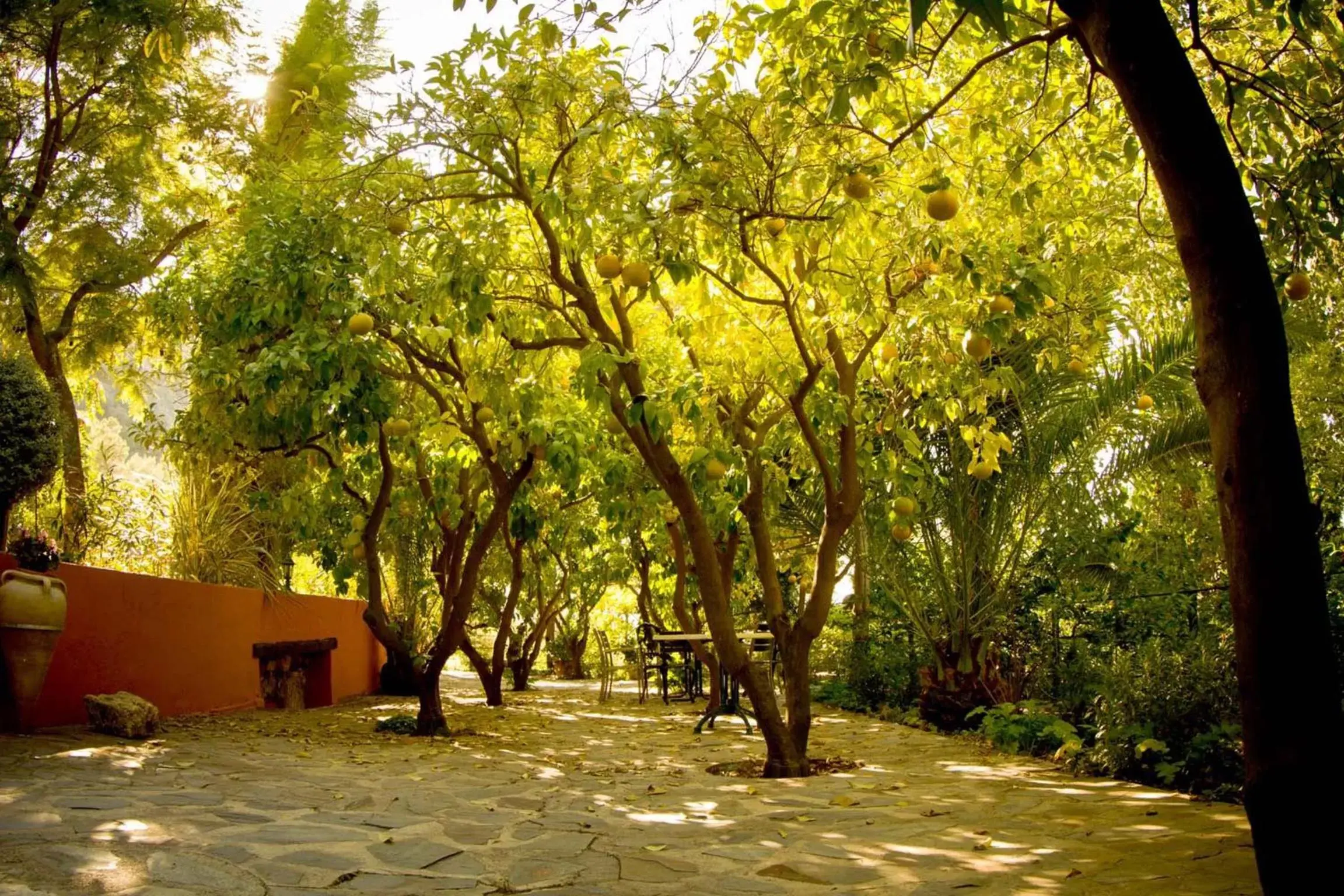 Patio in Mont-Sant