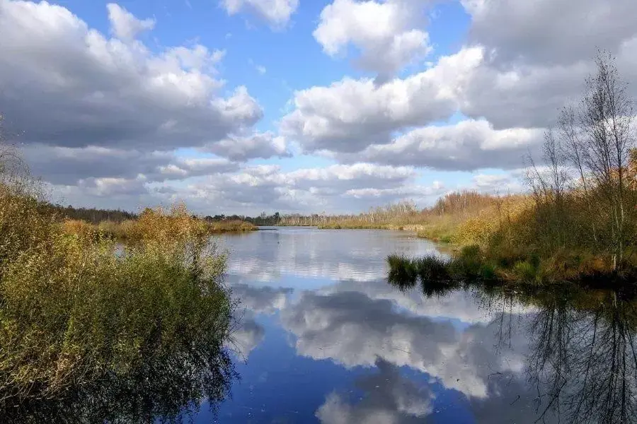 Natural Landscape in Gasthuys de Peel