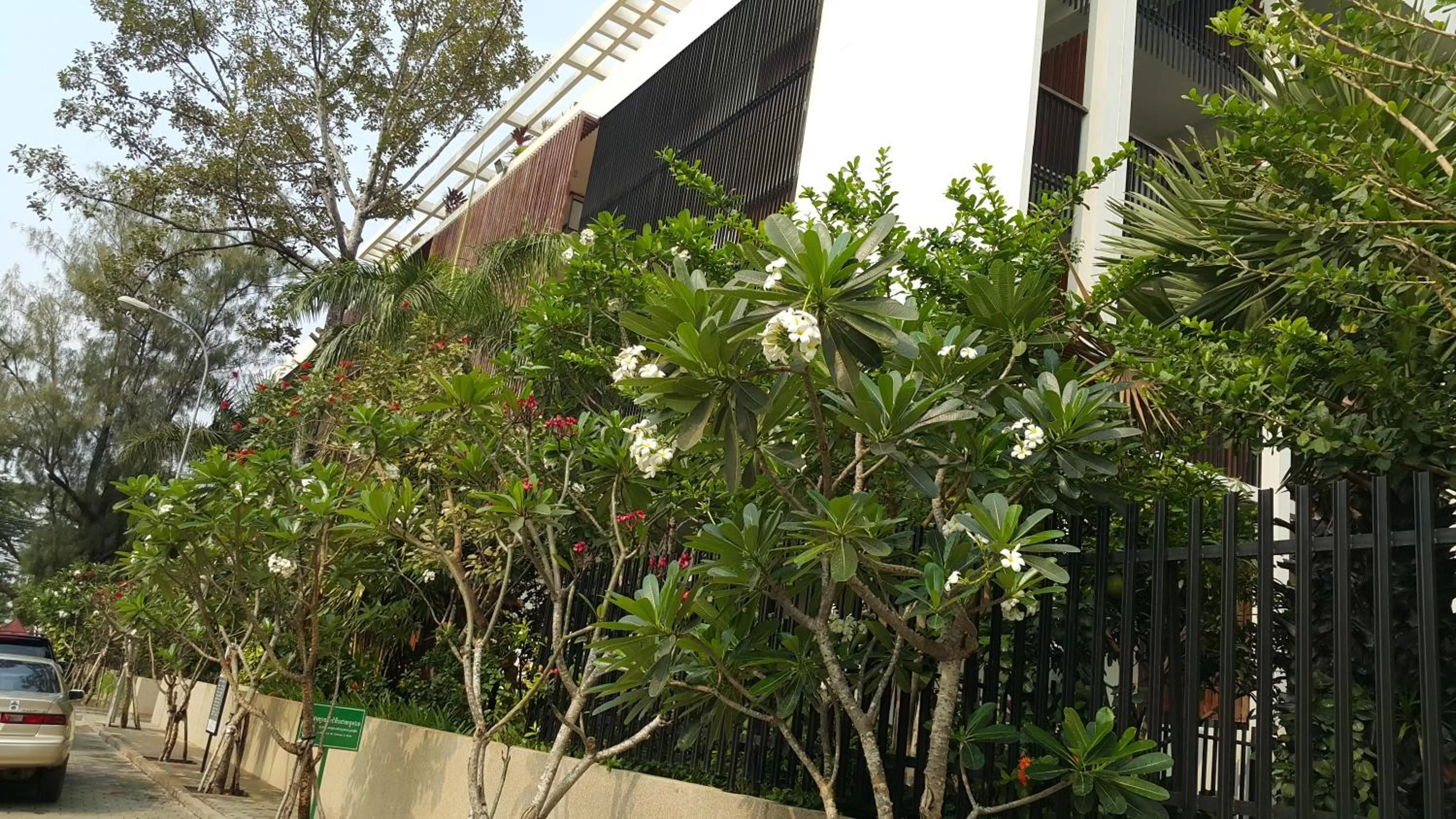 Natural landscape in Somadevi Residence