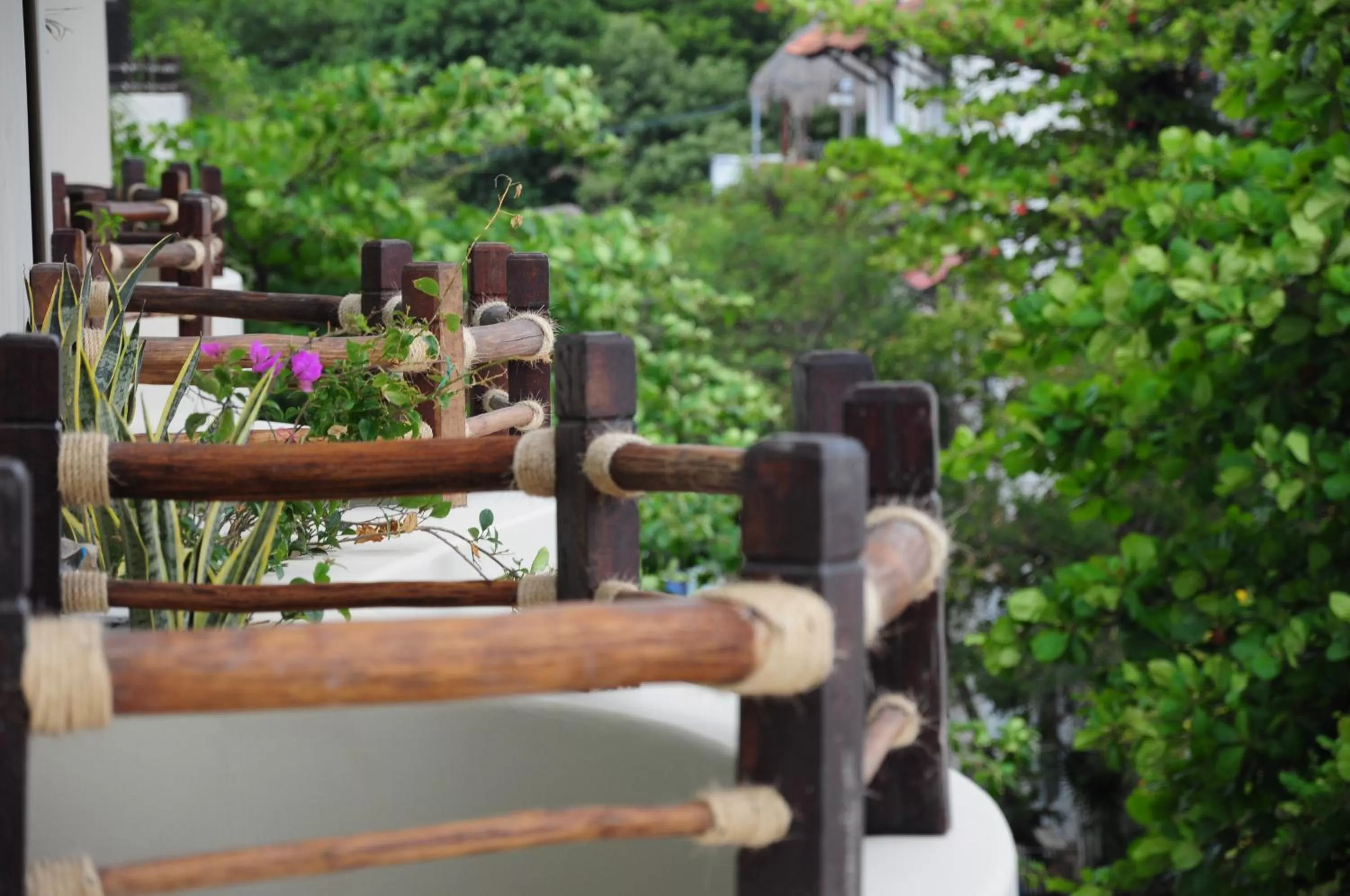 Garden in El Taj Oceanfront and Beachside Condo Hotel