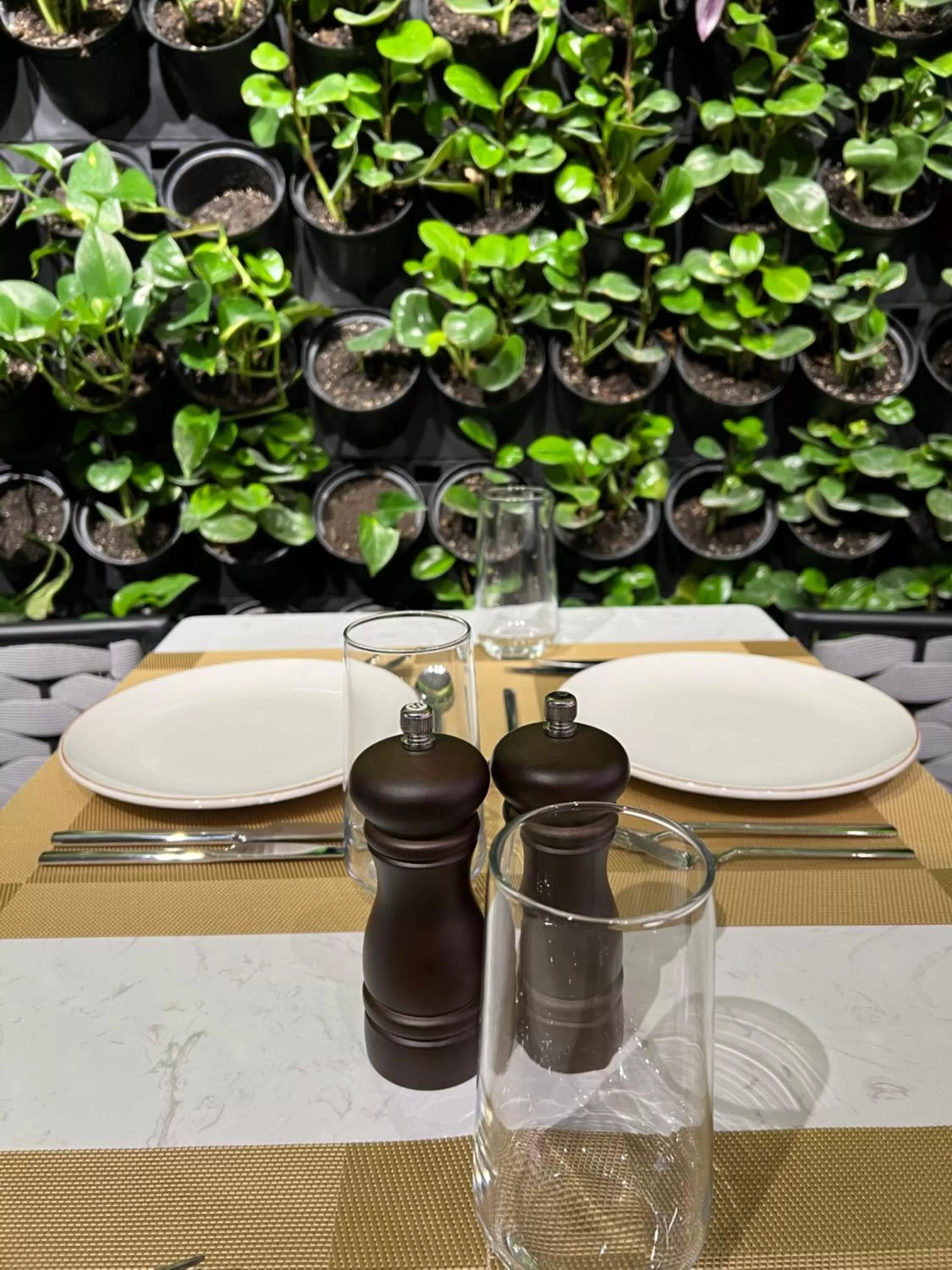 Dinner in Marjan Plaza Hotel