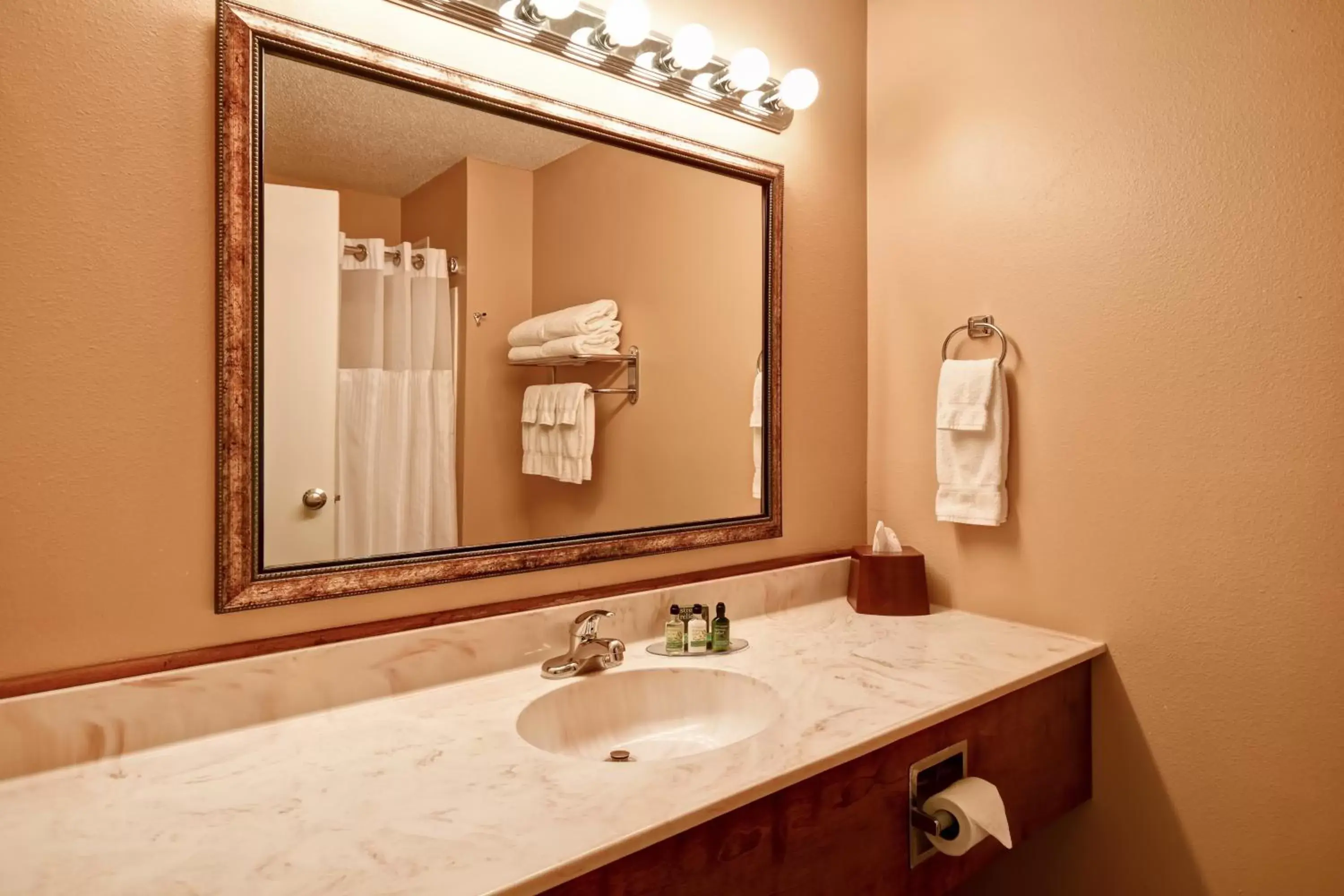 Bathroom in GrandStay Hotel & Suites La Crosse