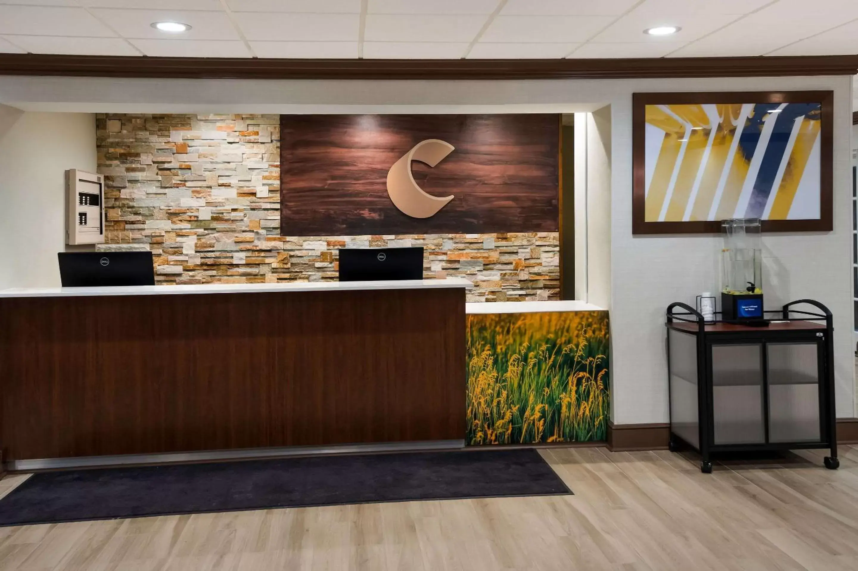 Lobby or reception, Lobby/Reception in Comfort Inn & Suites Fishers - Indianapolis