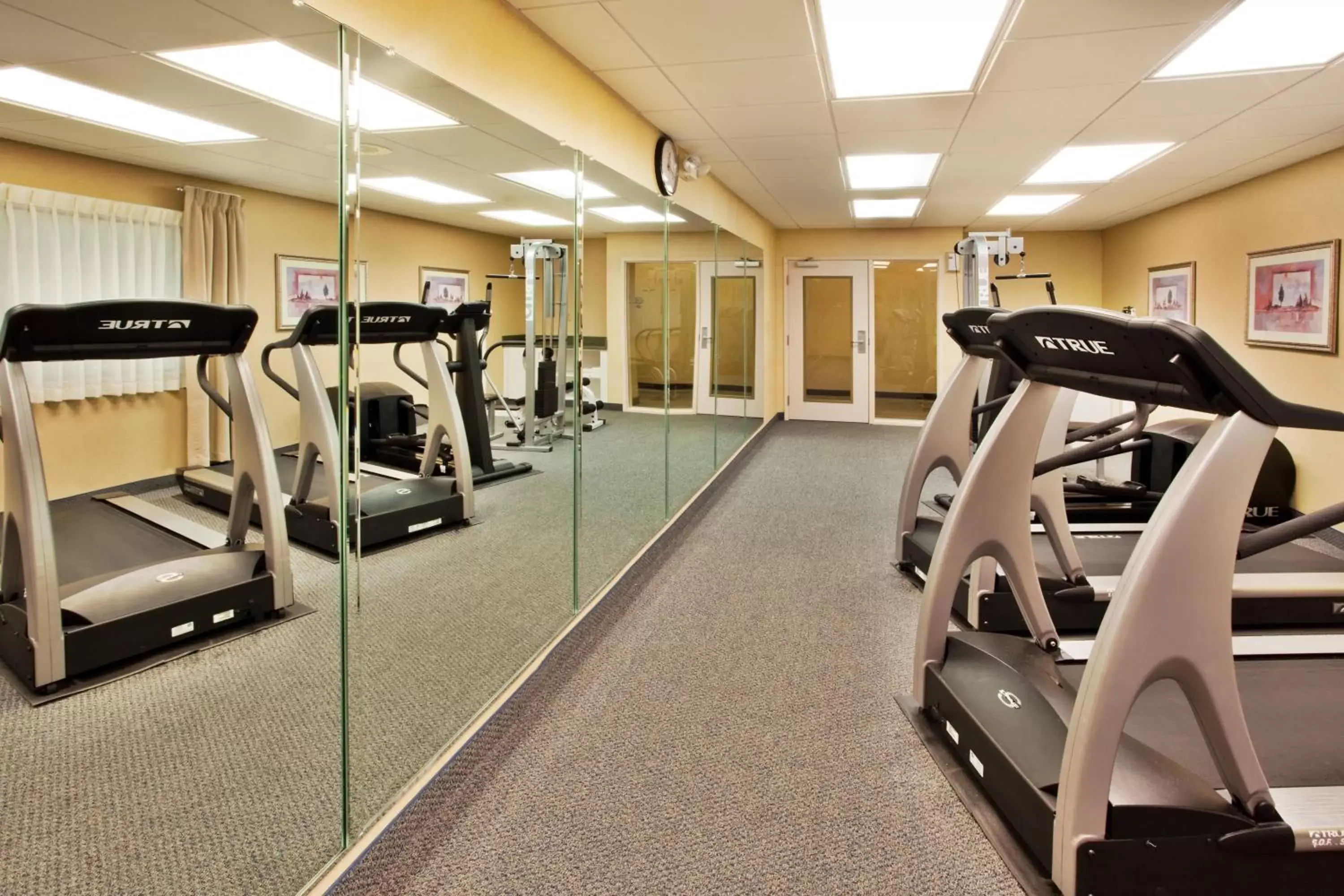 Fitness centre/facilities, Fitness Center/Facilities in Holiday Inn Express Hotel & Suites McDonough, an IHG Hotel