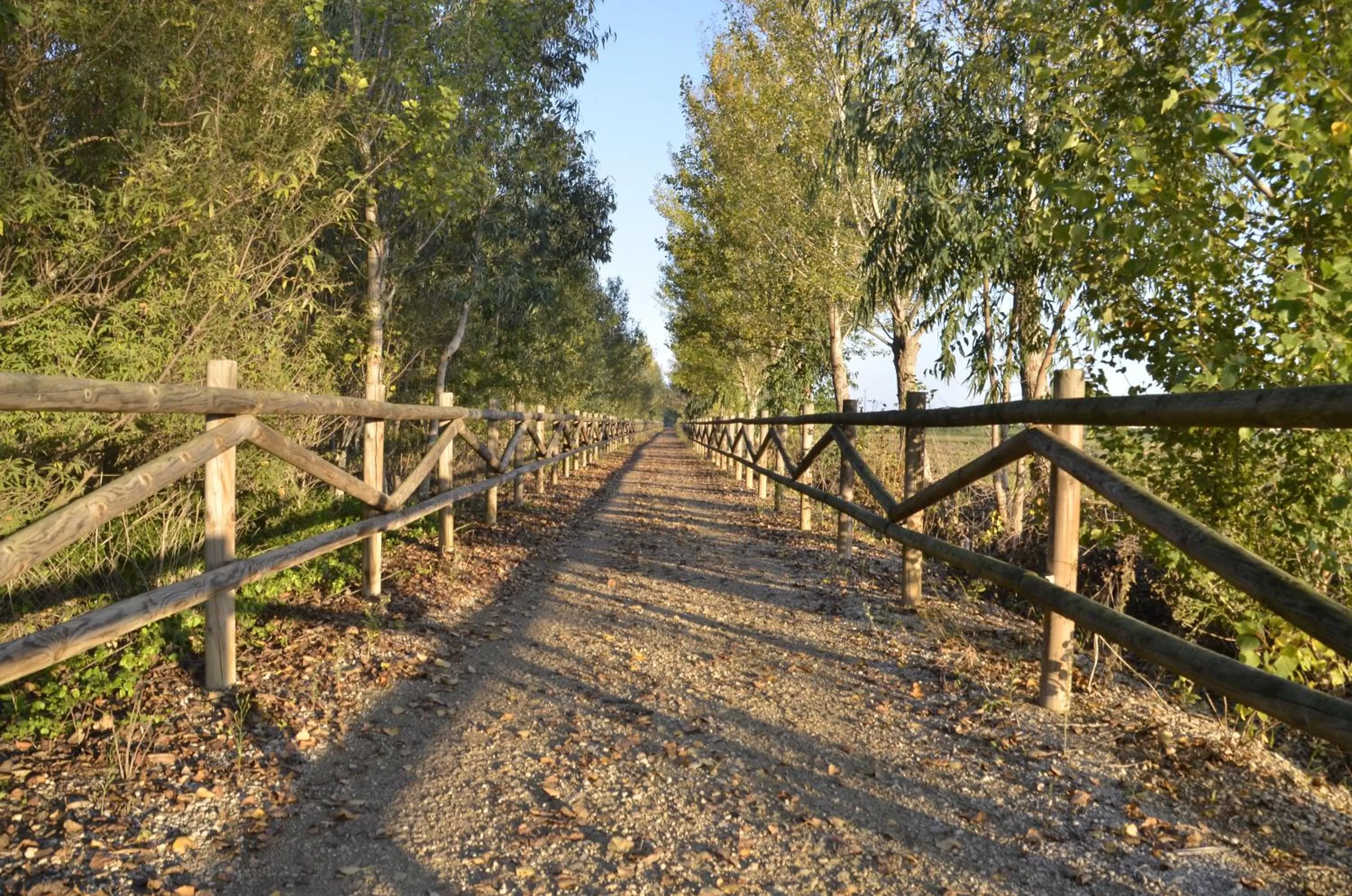 Natural landscape in River Dreams