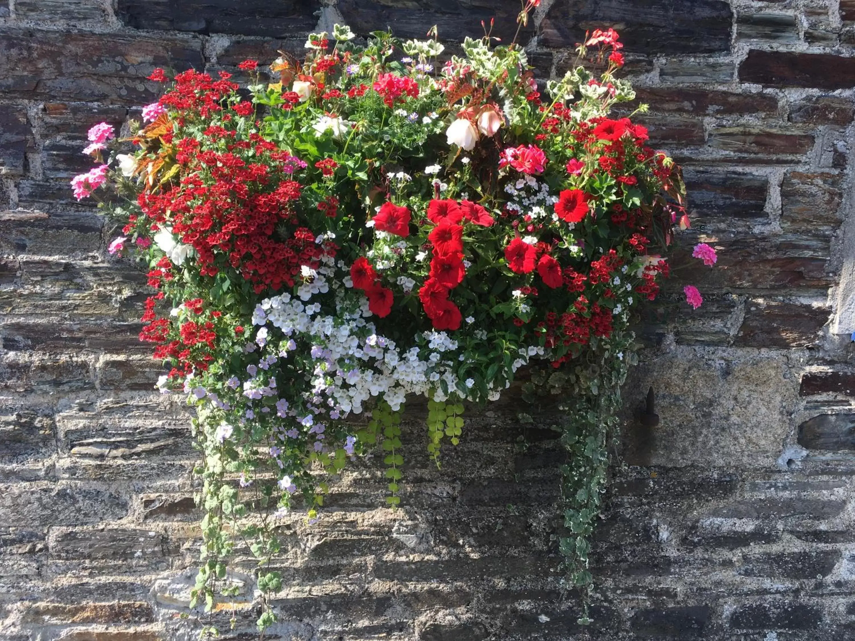 Property building, Garden in Blue Lion Inn