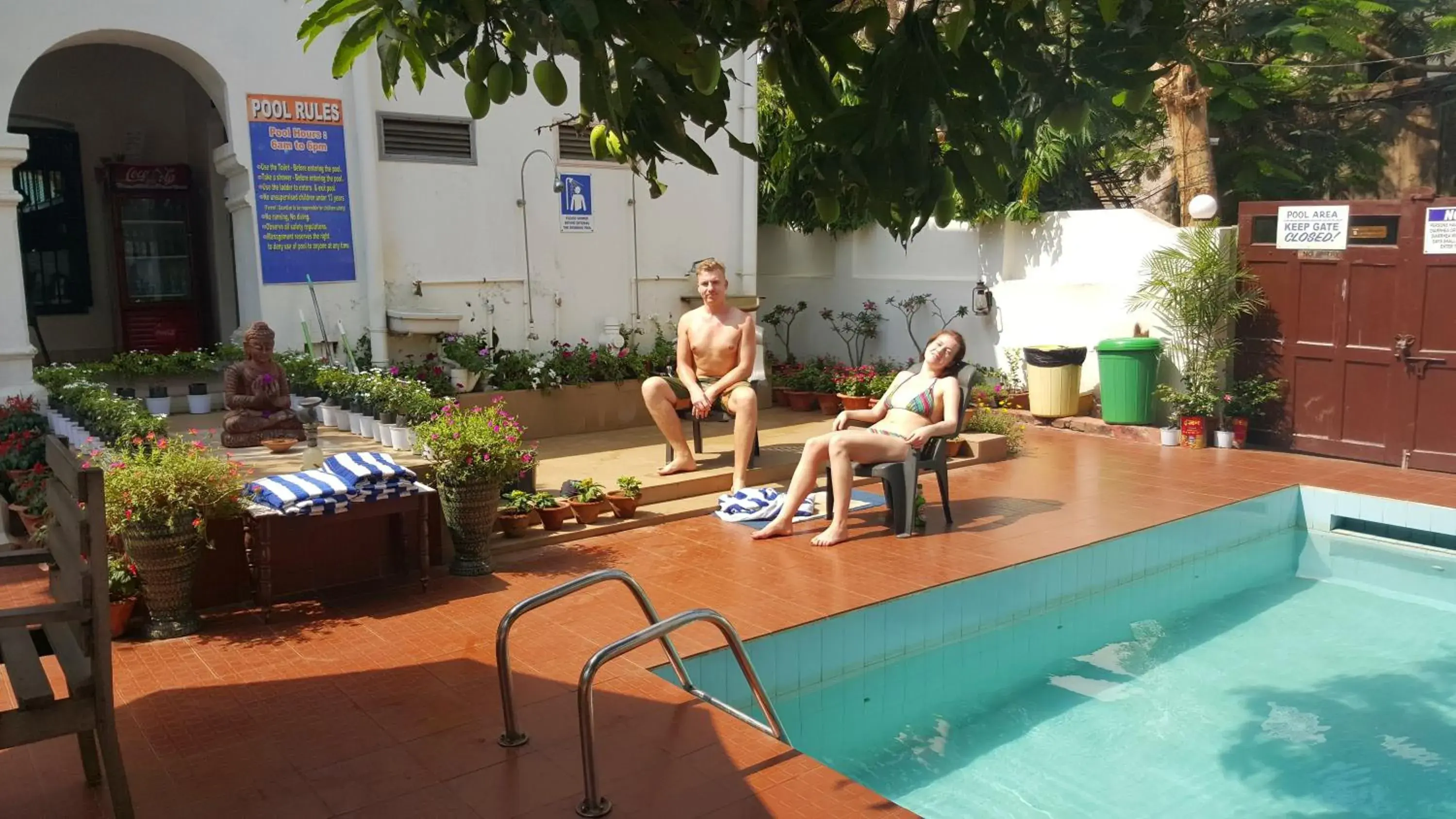 Garden, Swimming Pool in Gandhara Hotel