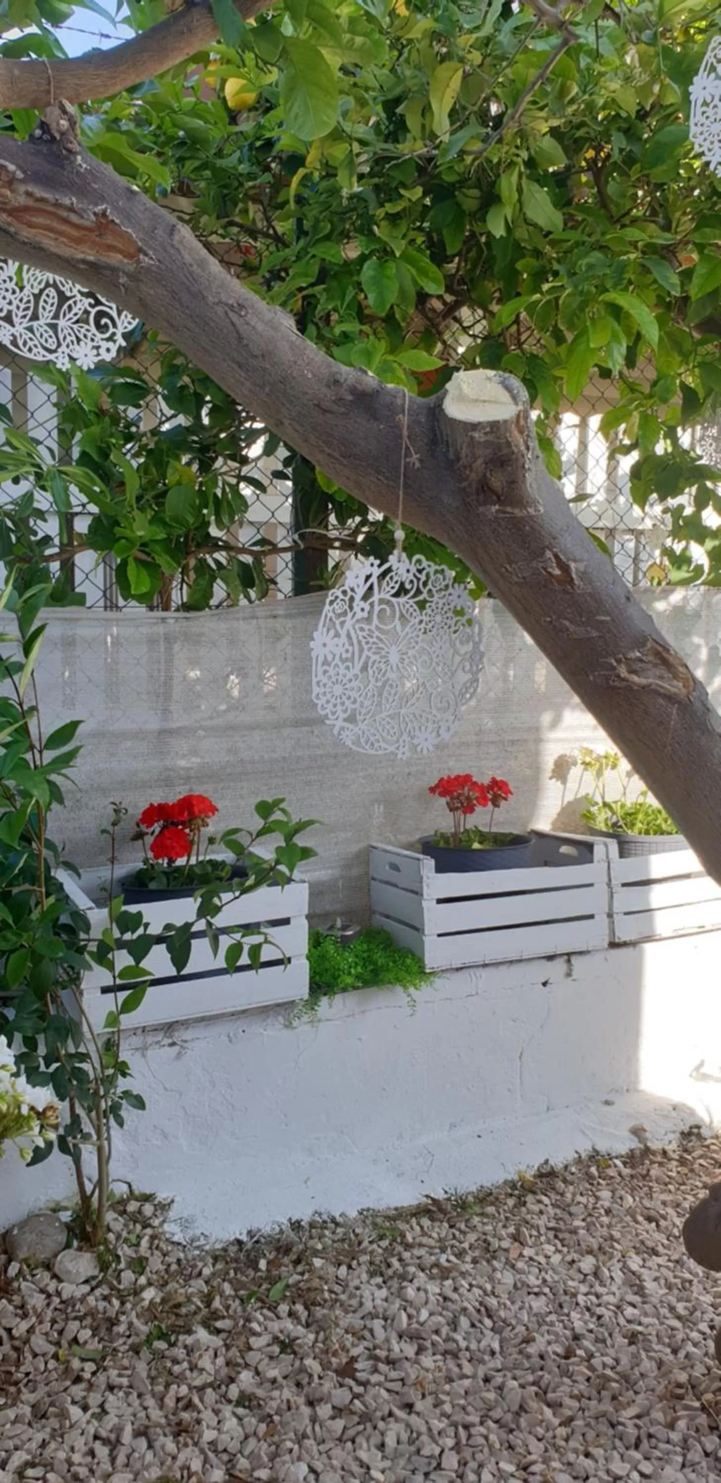 Garden in UN PASSO DAL MARE bed&breakfast San Salvo Marina