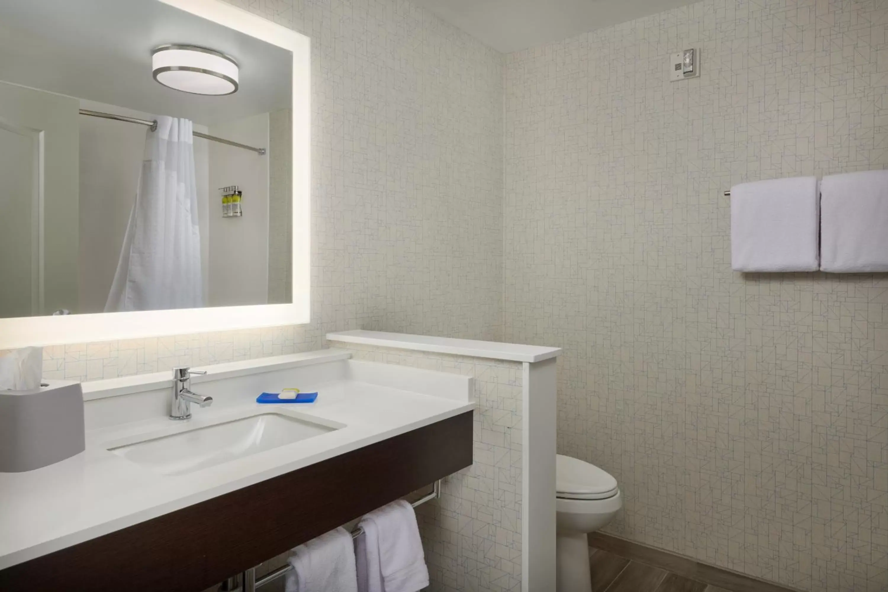 Photo of the whole room, Bathroom in Holiday Inn Express - Lockport, an IHG Hotel