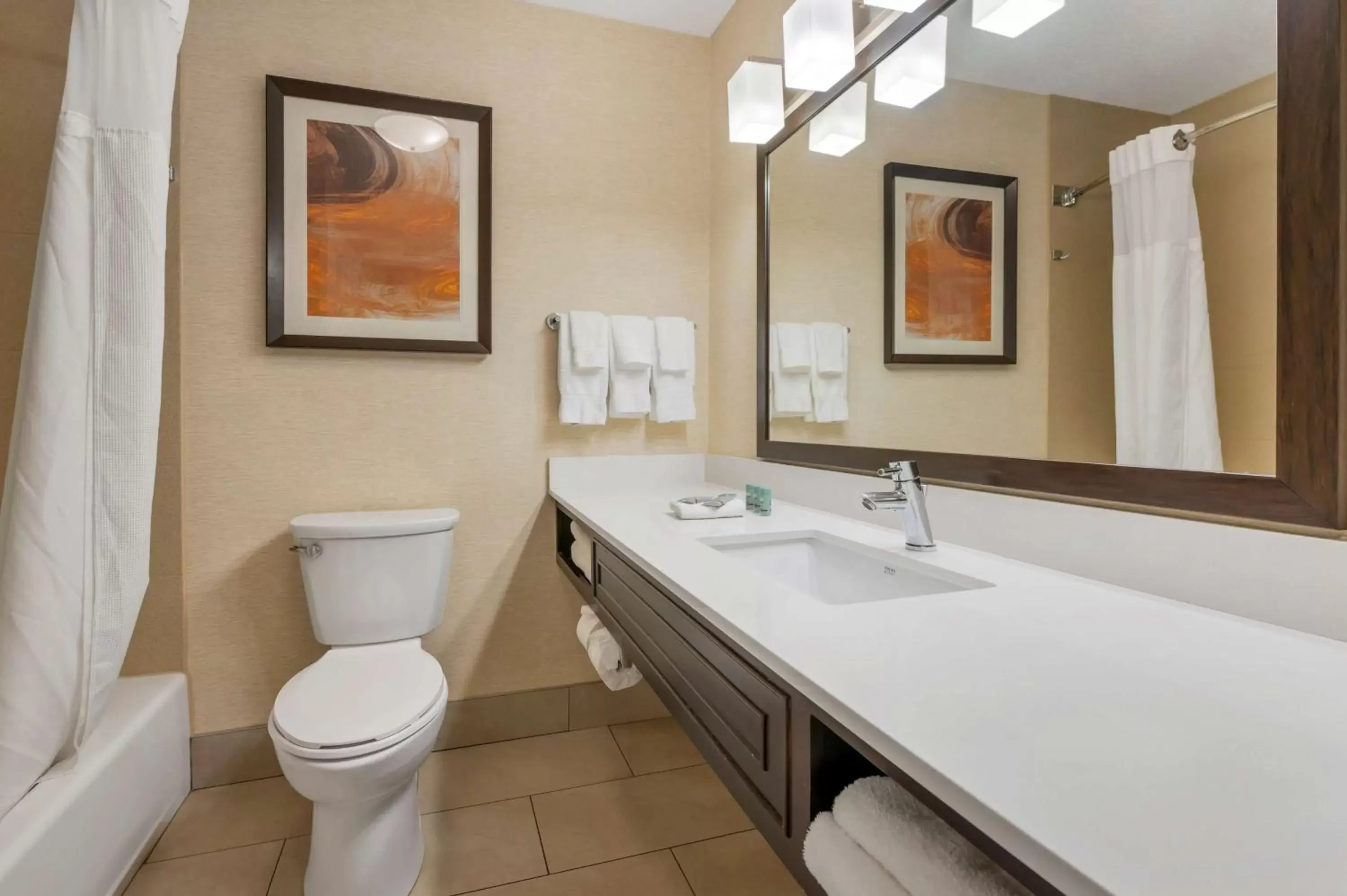 Bathroom in Best Western Hilliard Inn & Suites