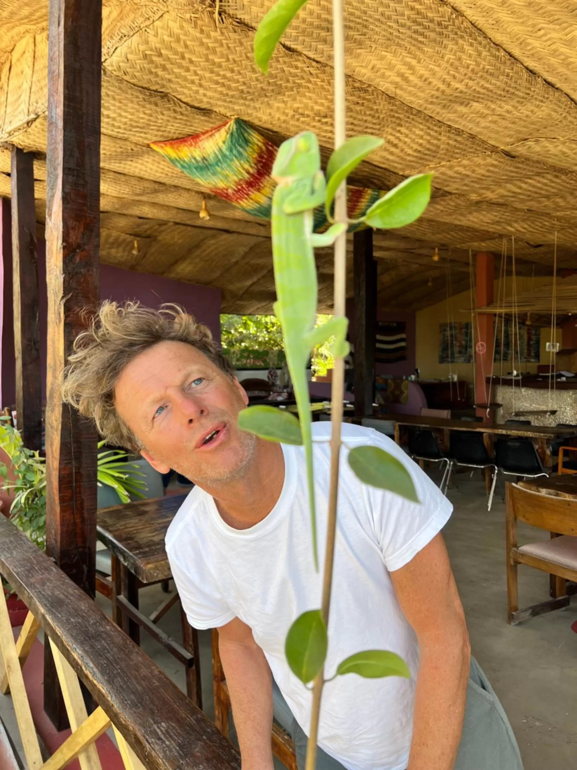 Restaurant/places to eat in Nemasu Eco-lodge