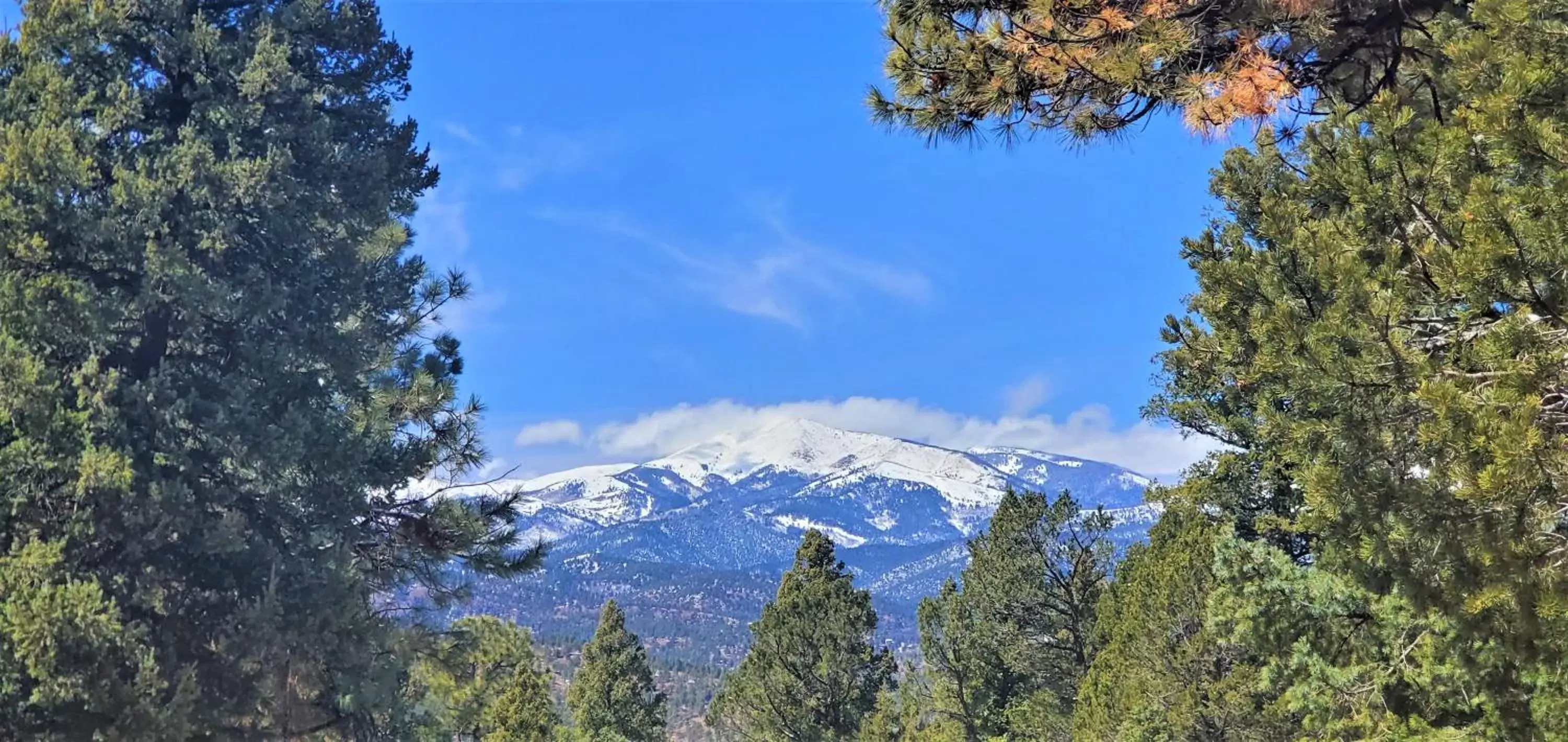 Natural landscape in High Sierra Condominiums