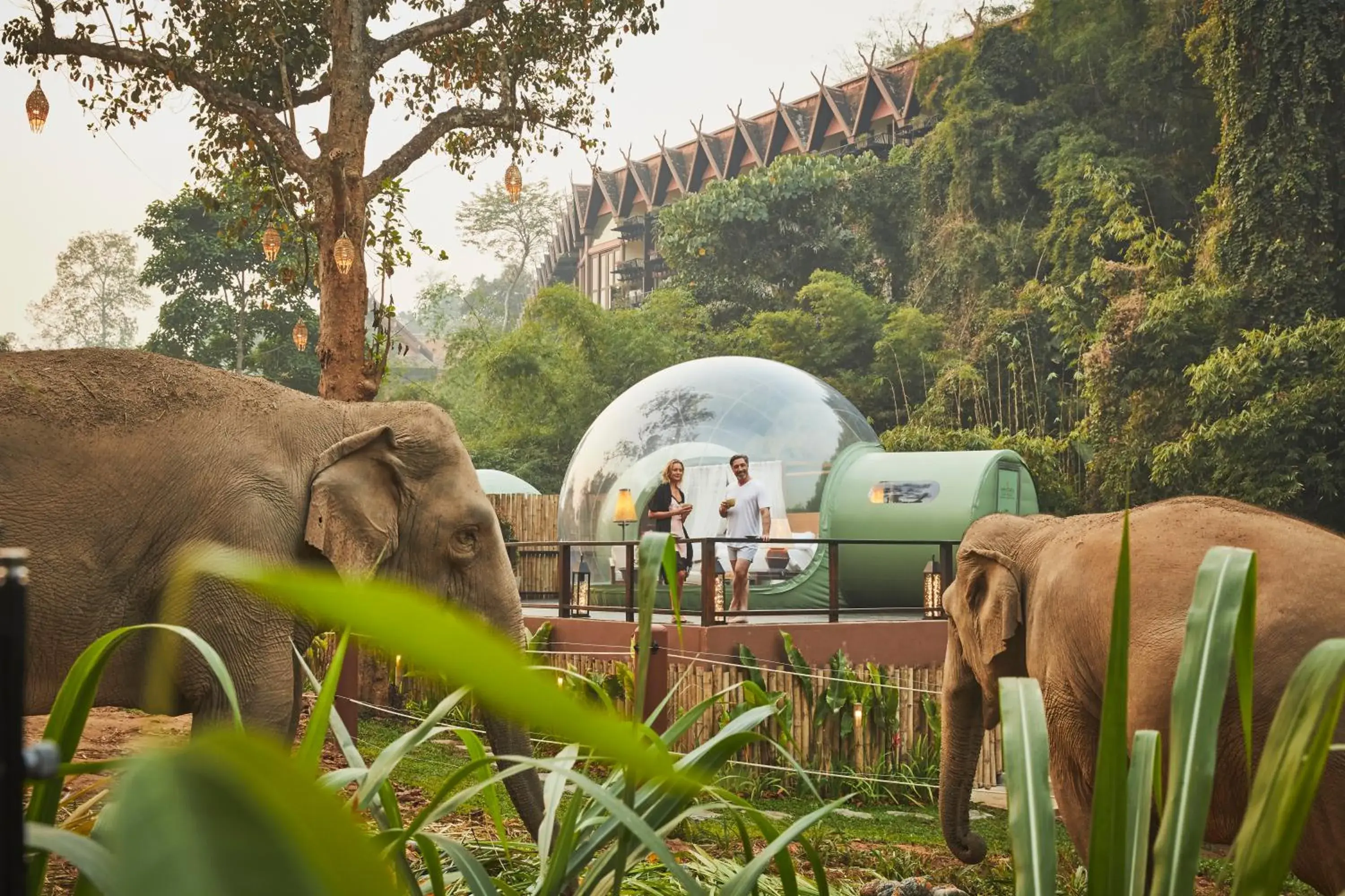 Property building in Anantara Golden Triangle Elephant Camp & Resort