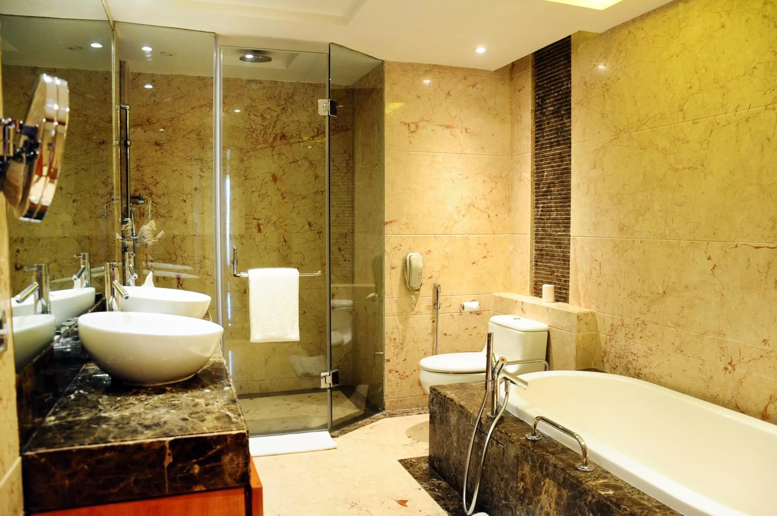 Toilet in Radisson Blu Plaza Delhi Airport