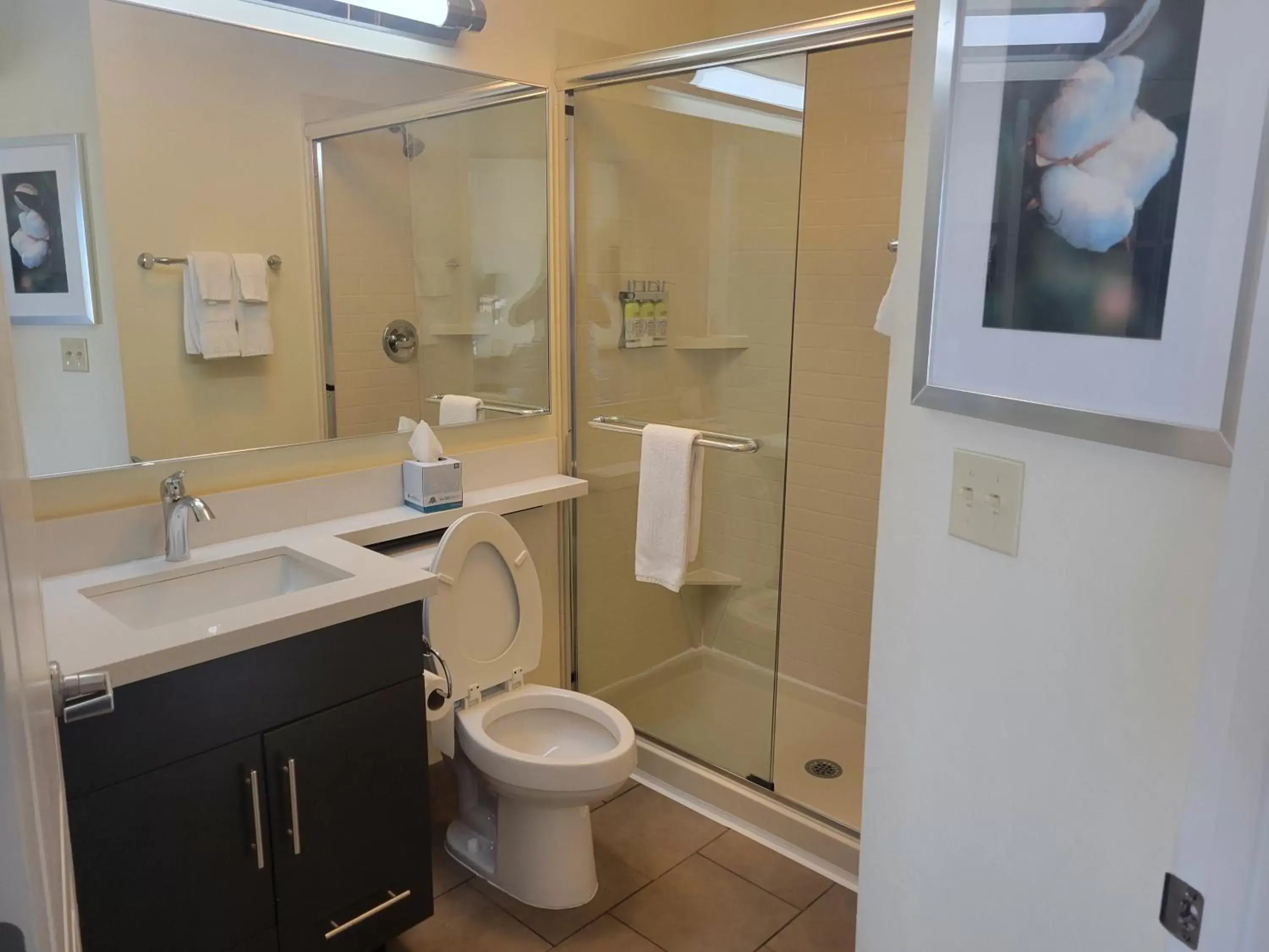 Shower, Bathroom in Candlewood Suites Smyrna - Nashville , an IHG Hotel