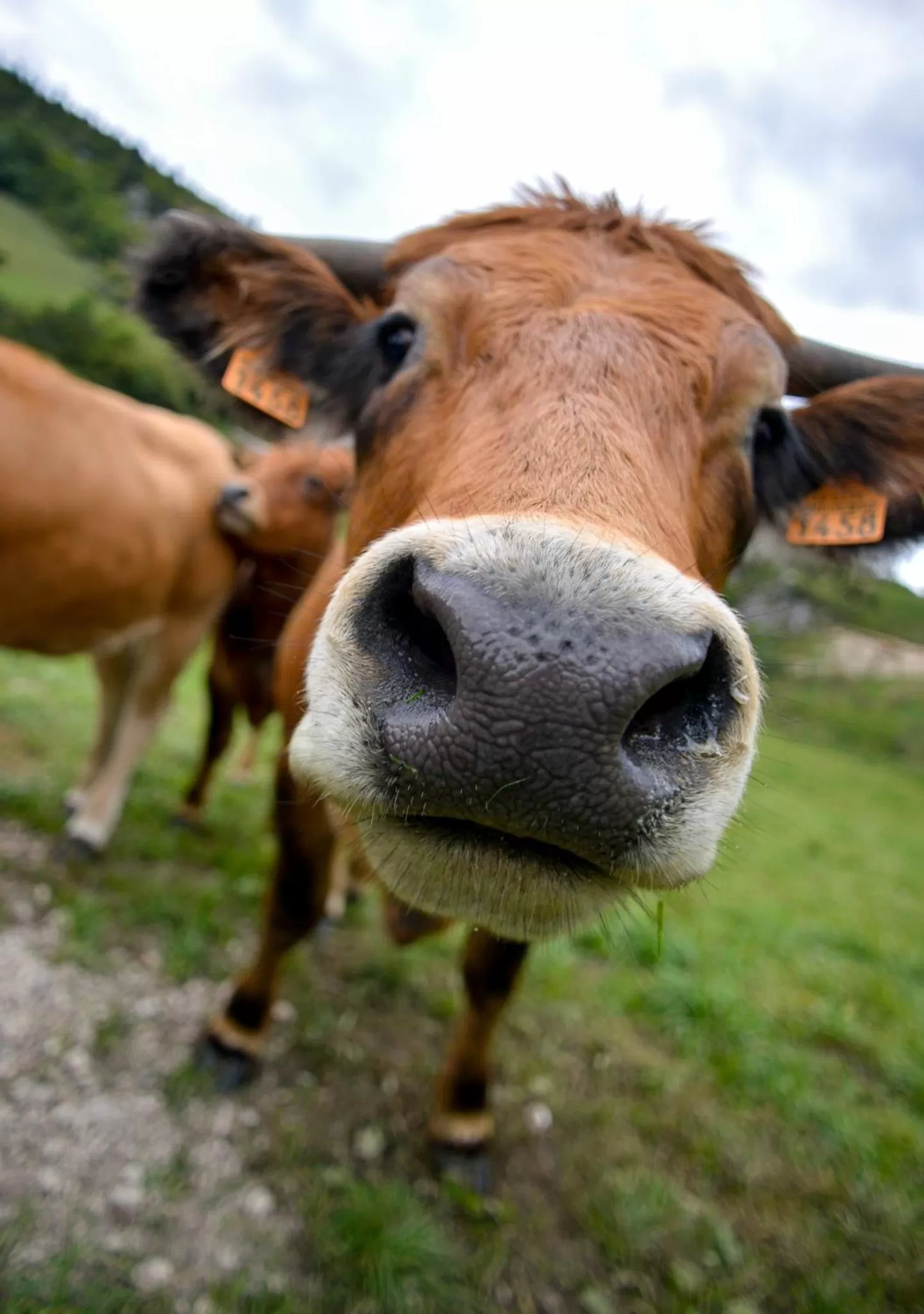 Day in Hotel du Golf