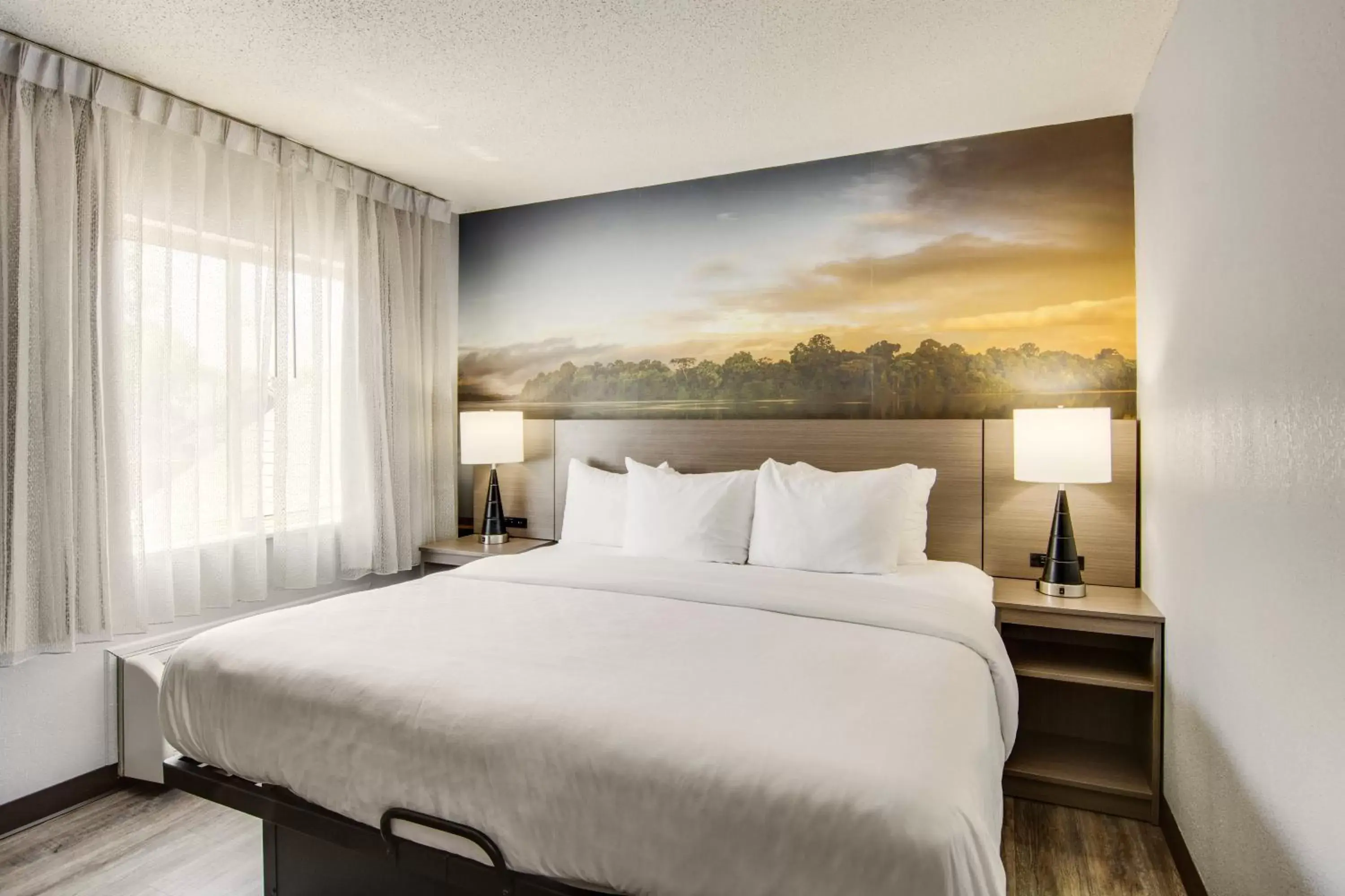 King Suite with Sofa Bed - Non Smoking in Clarion Pointe on the lake Clarksville-South Hill West King Suite with Sofa Bed - Non Smoking in Clarion Pointe on the lake Clarksville-South Hill West