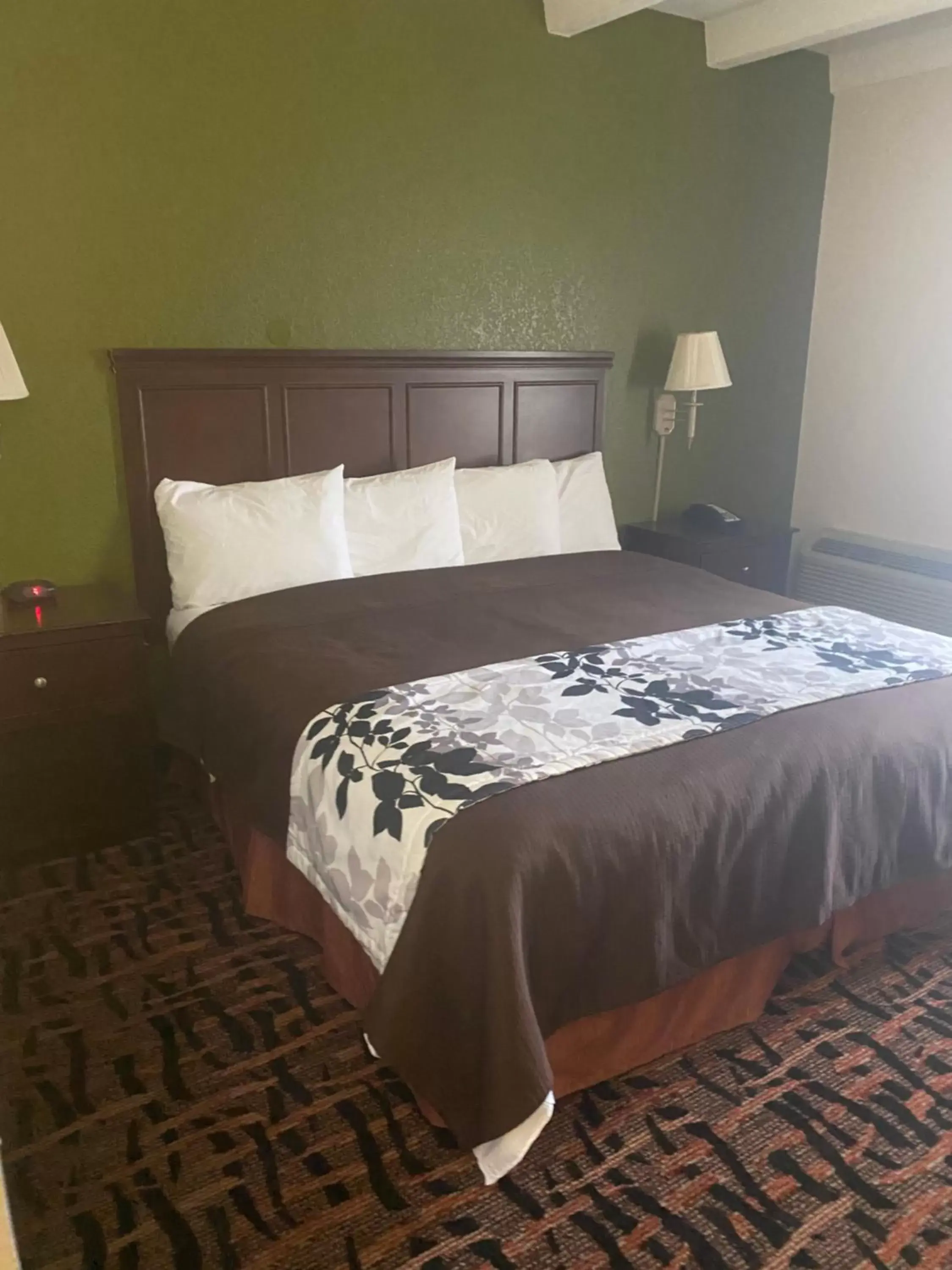 Bed in Rodeway Inn