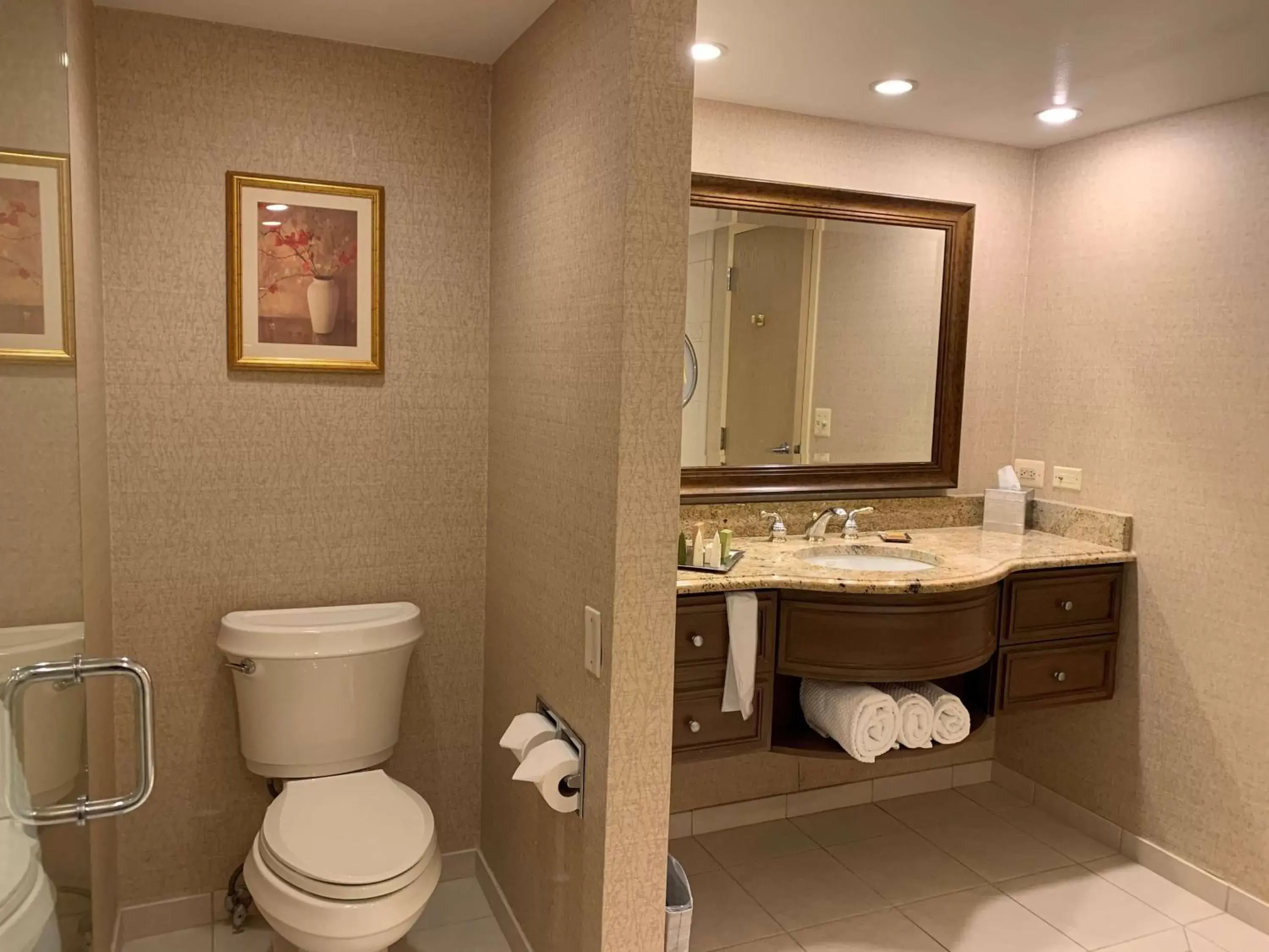 Bathroom in Hilton Chicago/Northbrook