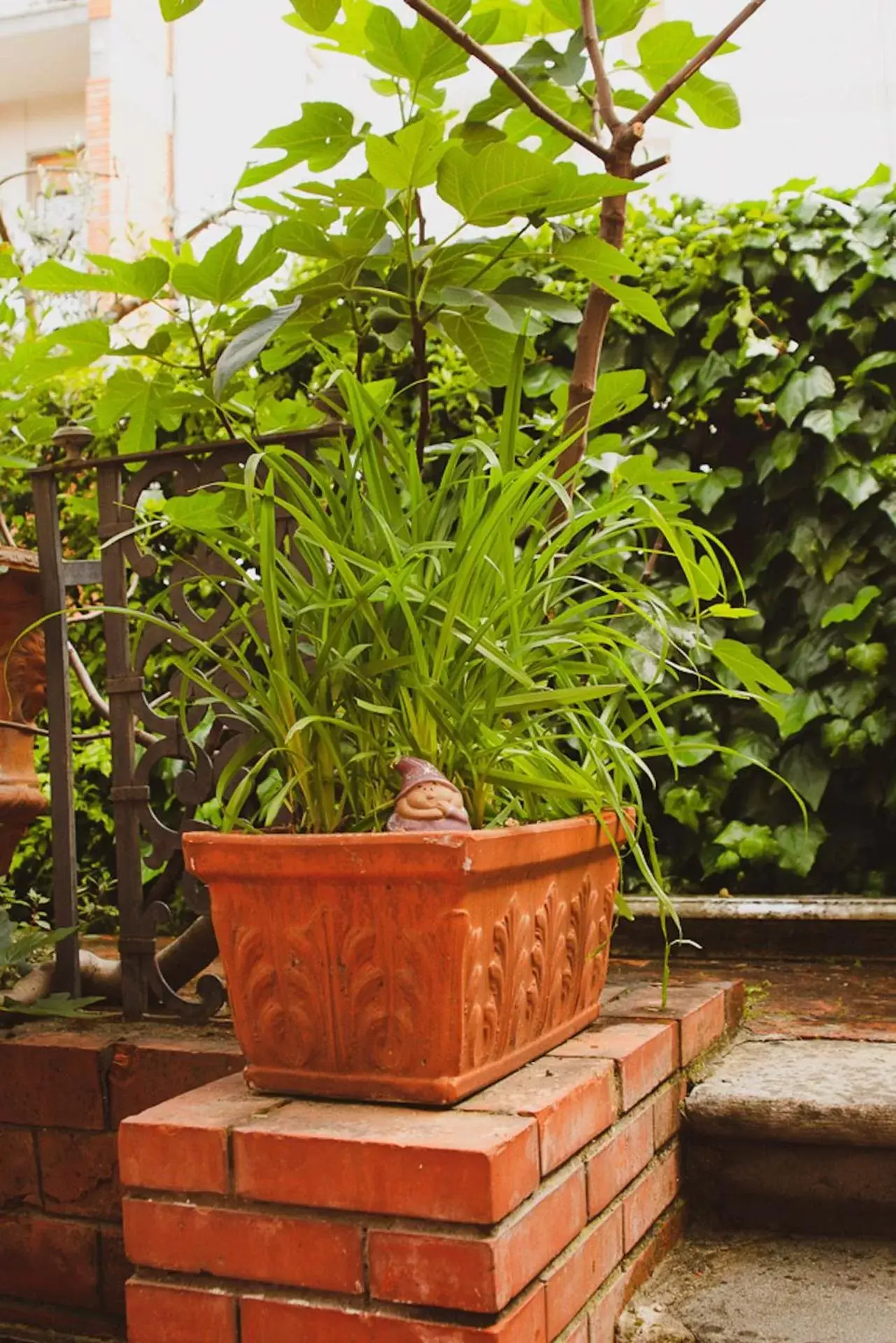 Patio in Il Villino