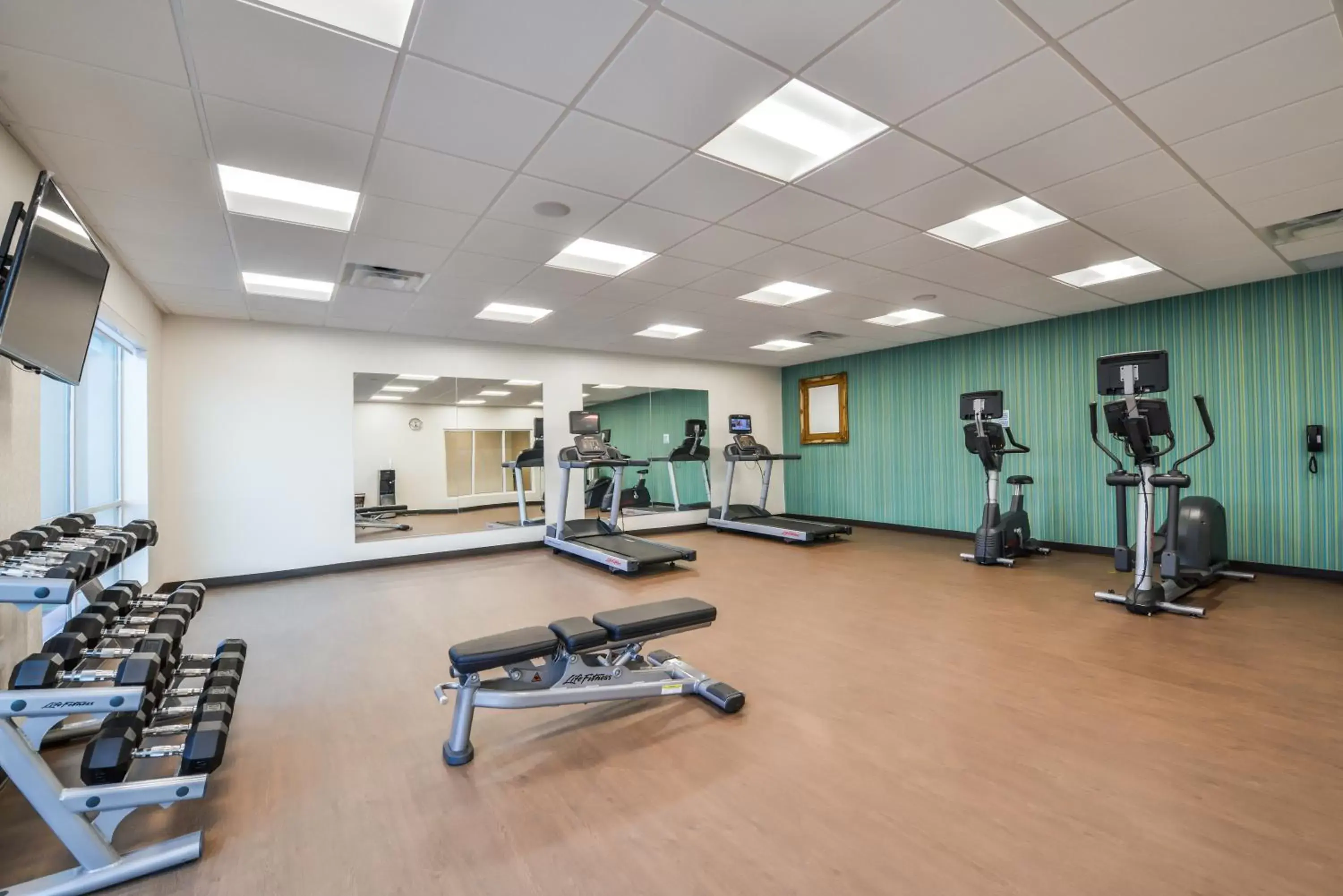 Fitness centre/facilities, Fitness Center/Facilities in Holiday Inn Express Donaldsonville, an IHG Hotel
