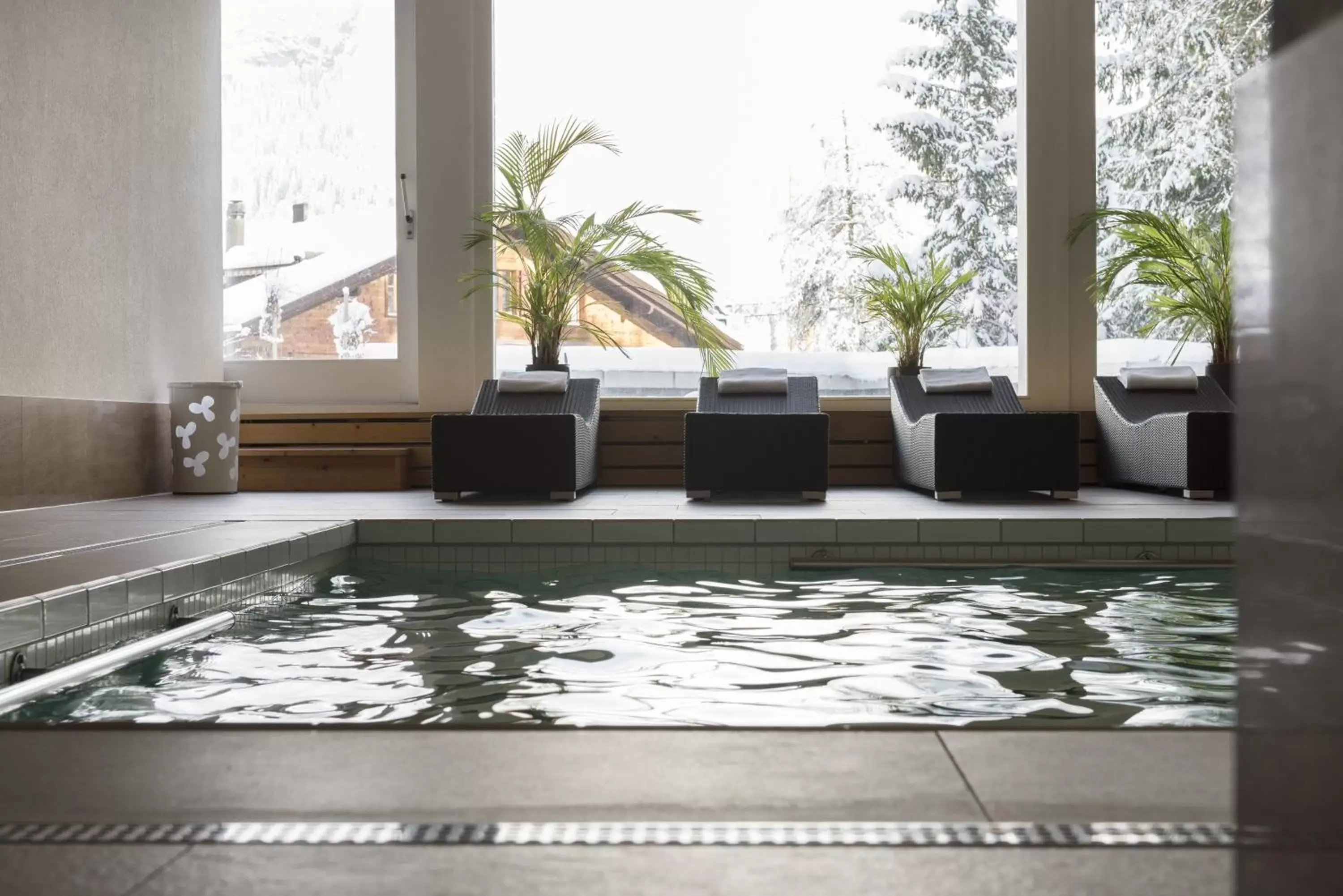 Swimming Pool in Hotel des Alpes