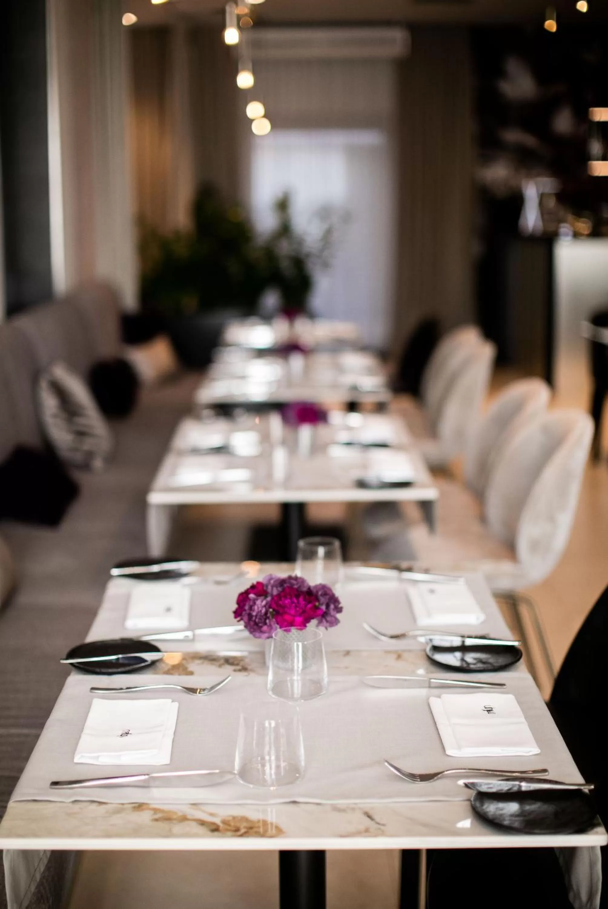 Restaurant/places to eat in GRANO HOTEL Gdańsk Old Town