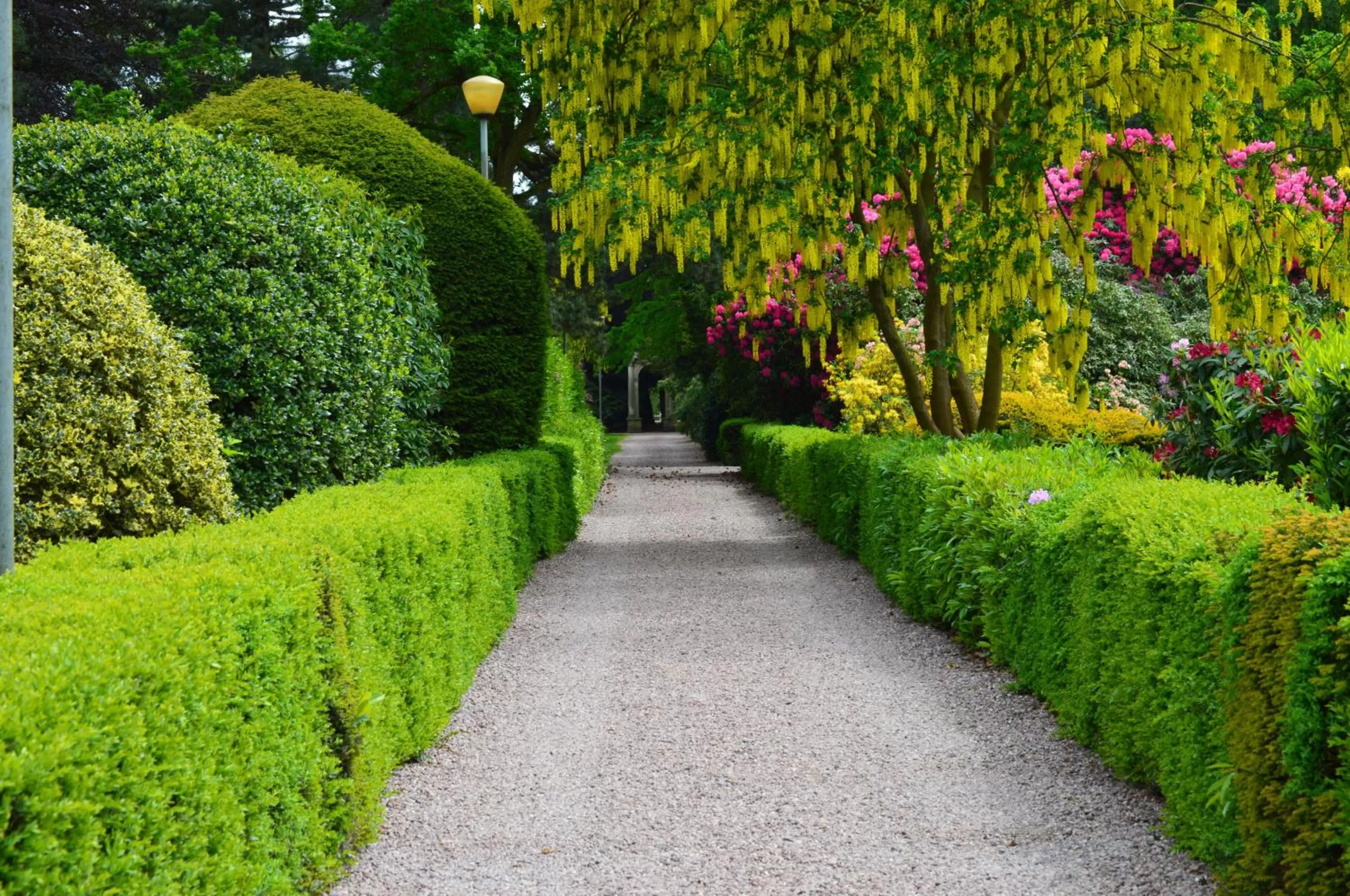 Garden in Lilleshall House & Gardens and Lilleshall National Sports Centre