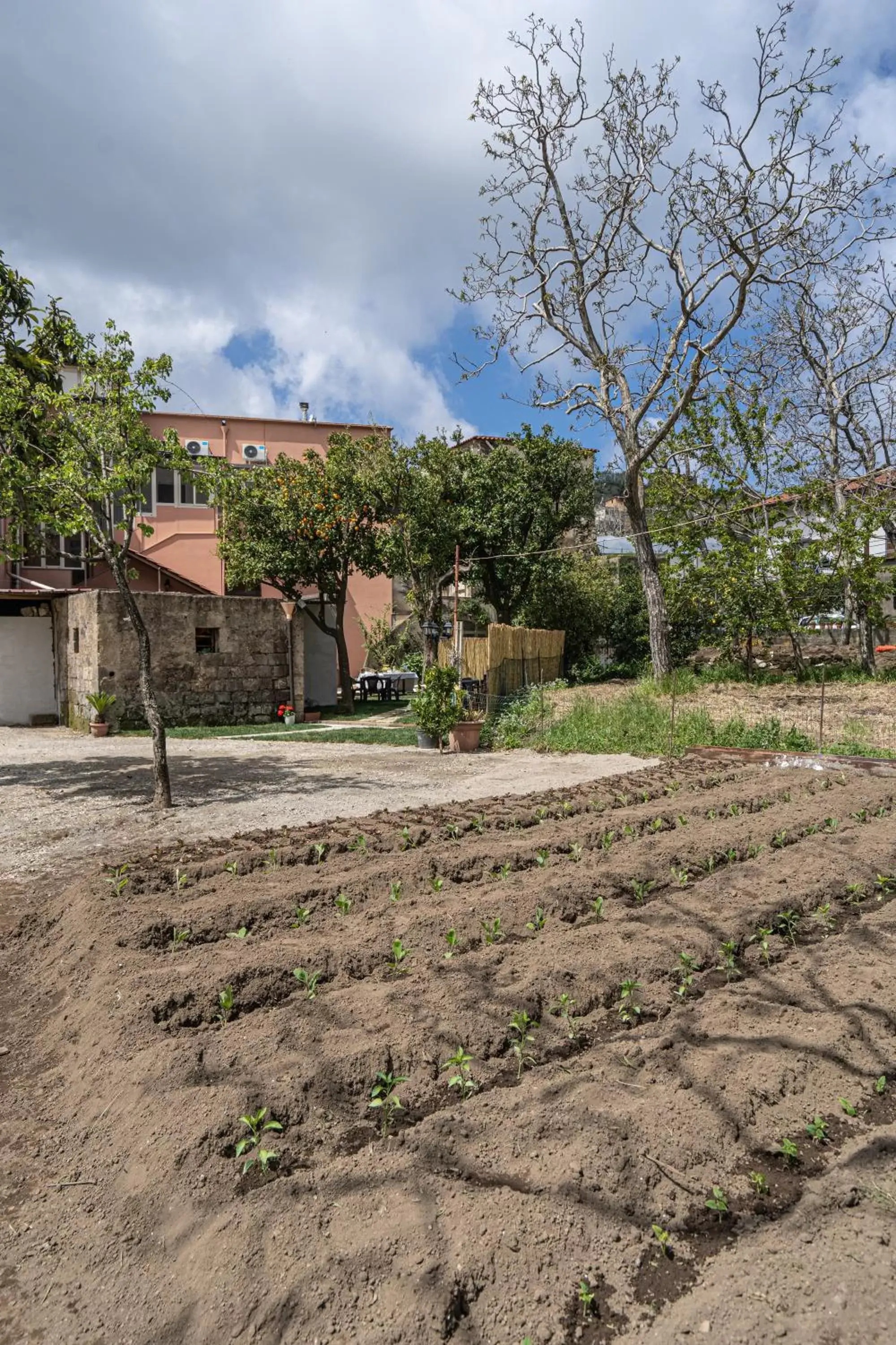 Garden, Property Building in Il Casale di Don Matteo