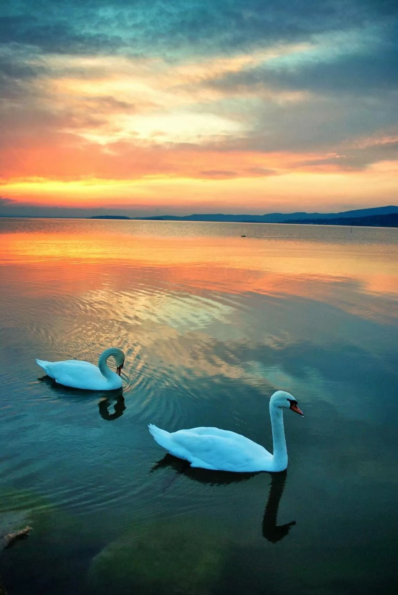 On site in Il Torrione