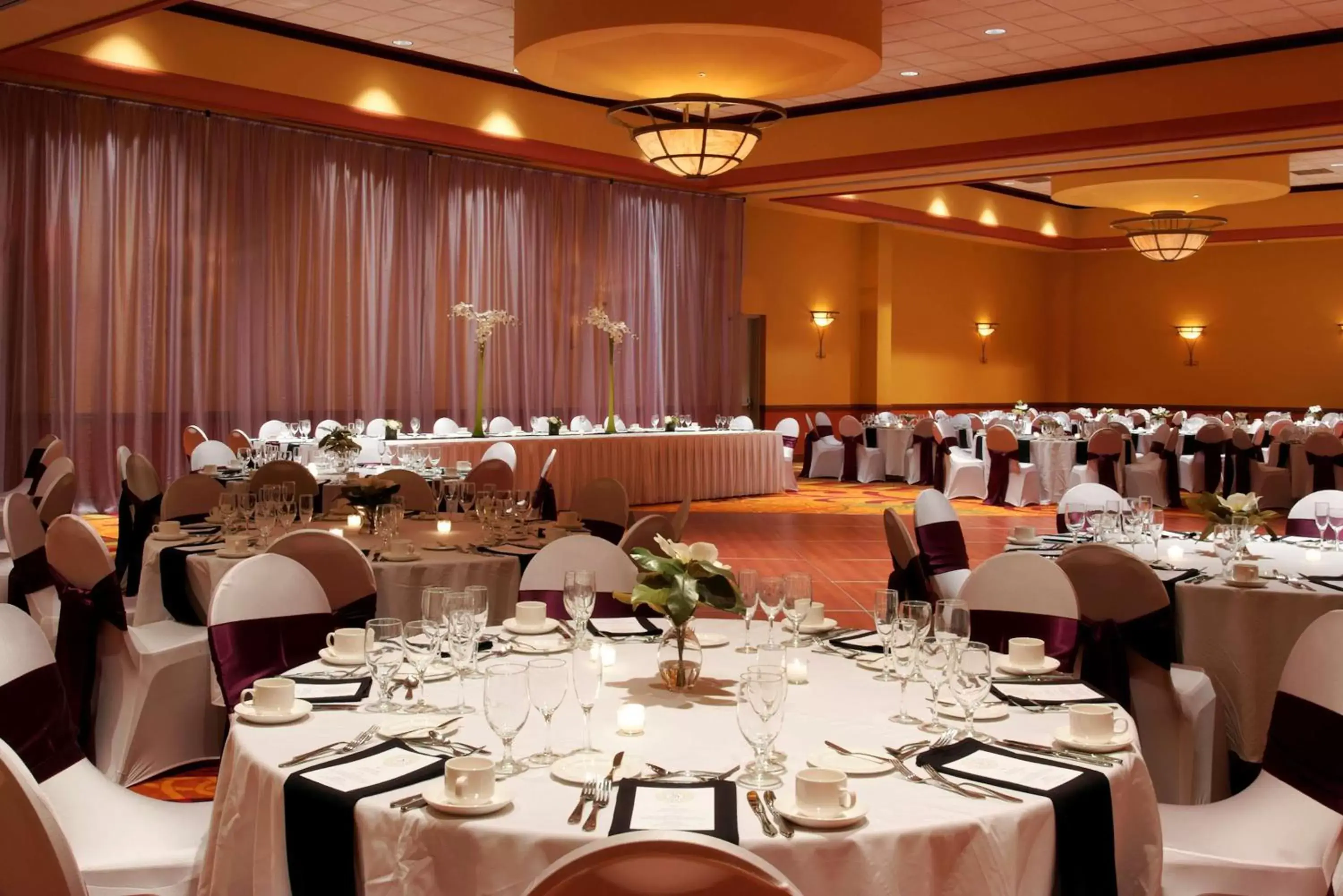 Meeting/conference room, Banquet Facilities in Embassy Suites Omaha- La Vista/ Hotel & Conference Center