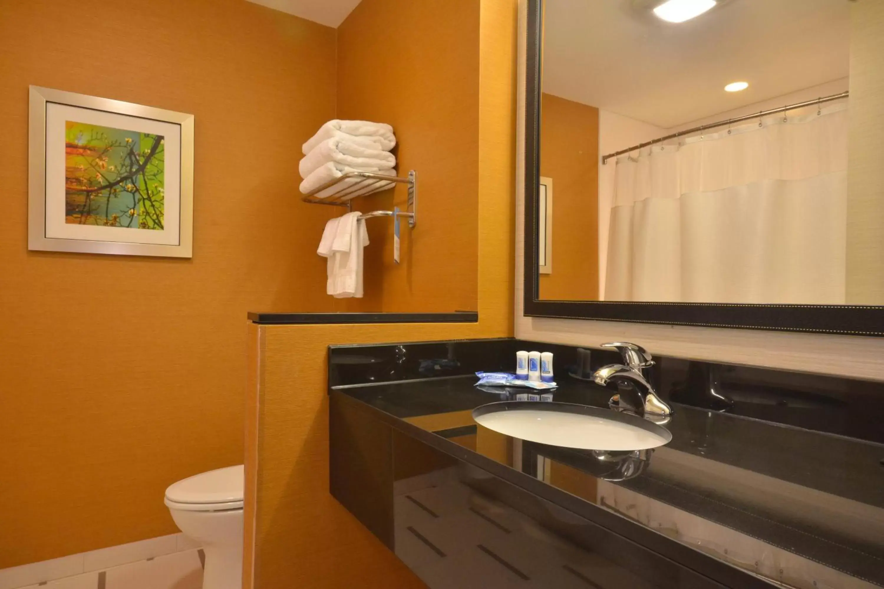 Bathroom in Fairfield Inn & Suites by Marriott St. Louis Pontoon Beach/Granite City, IL