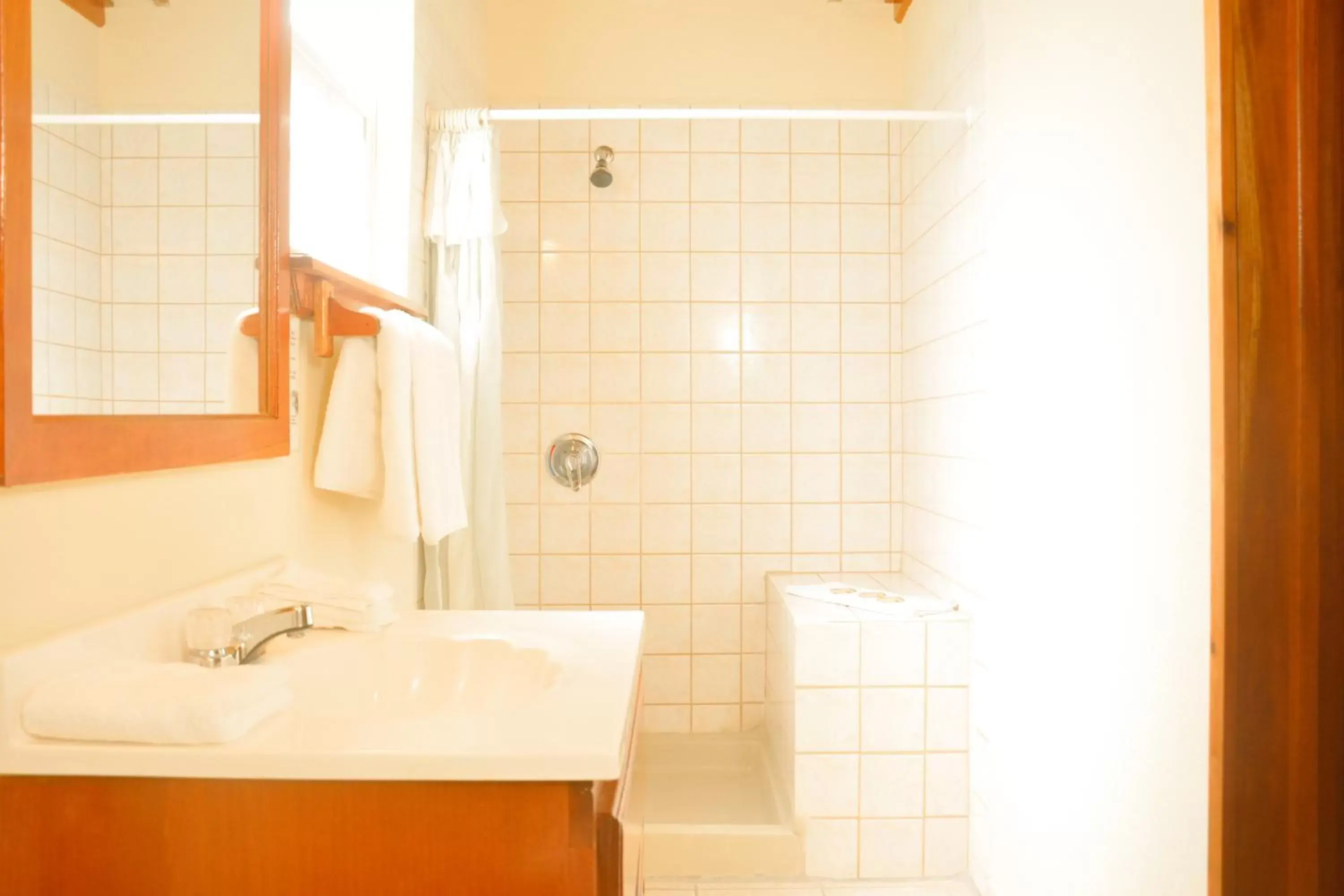 Bathroom in Royal Caribbean Resort