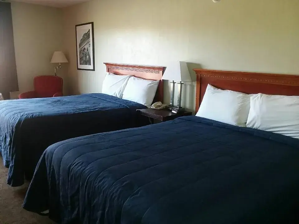 Bed in Springfield Inn TN