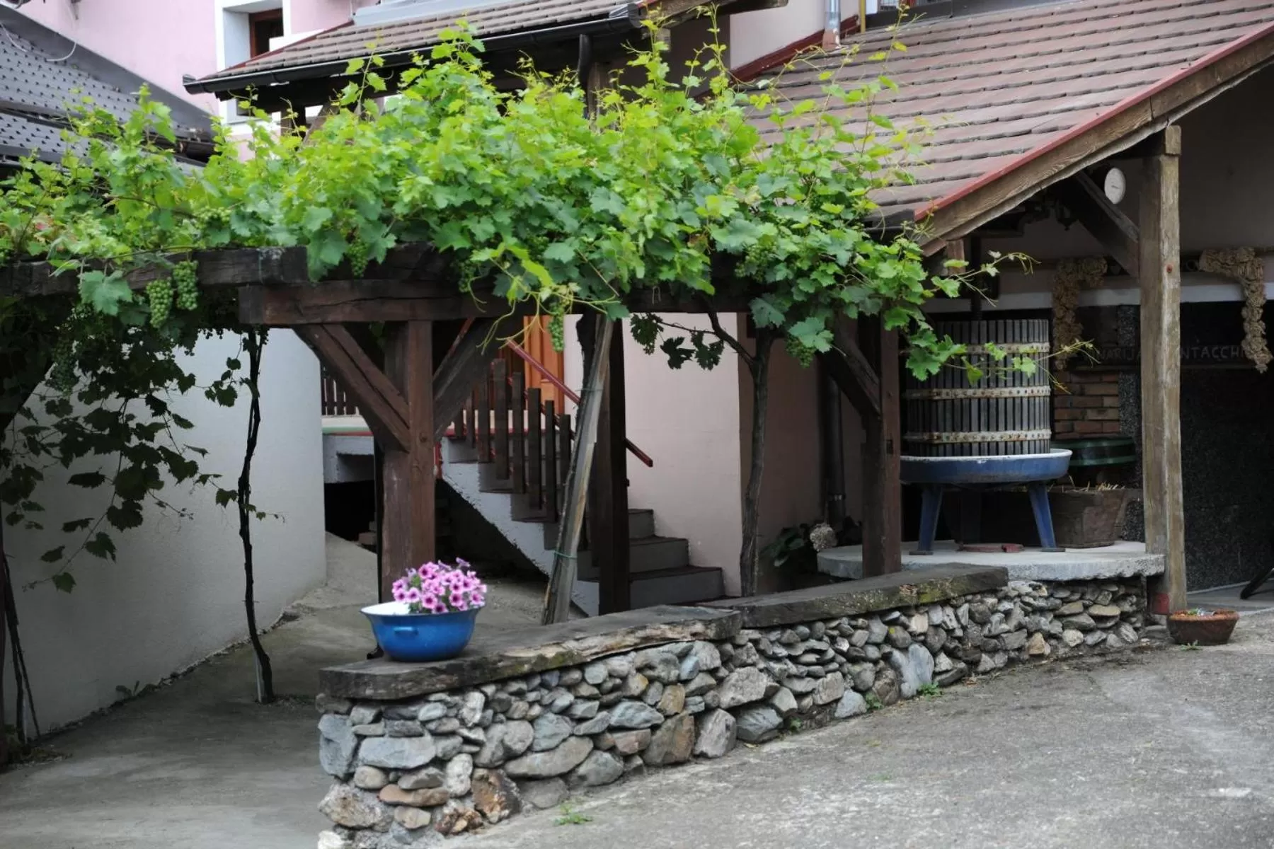 Patio in Wellness B&B Winery Sontacchi