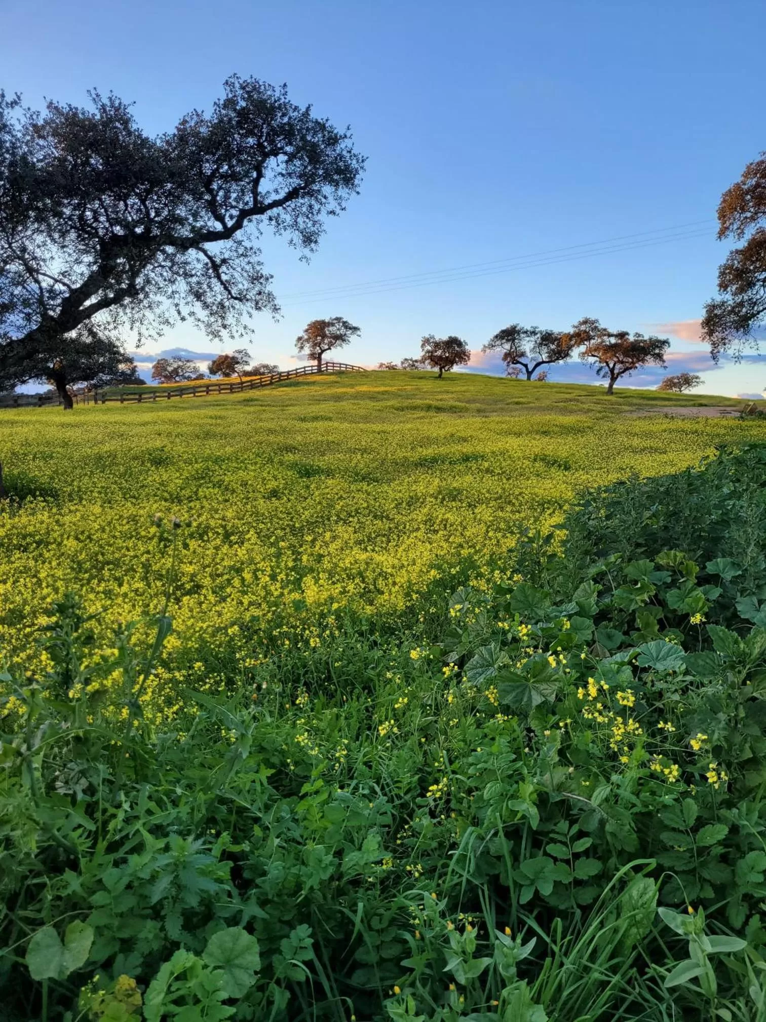 Natural landscape in Alojamiento Rural Finca Barral