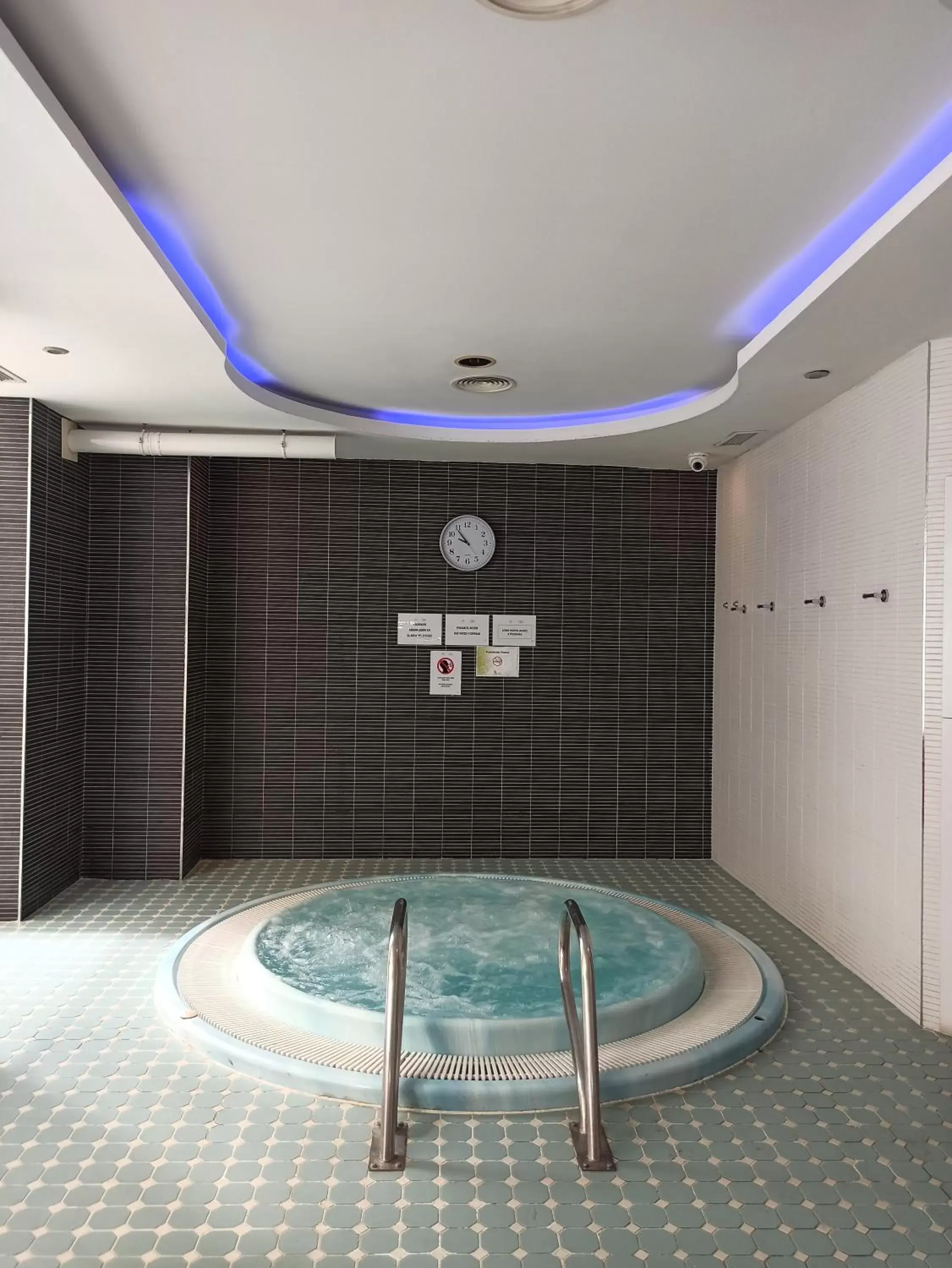 Hot Tub, Swimming Pool in ARVA Spa París