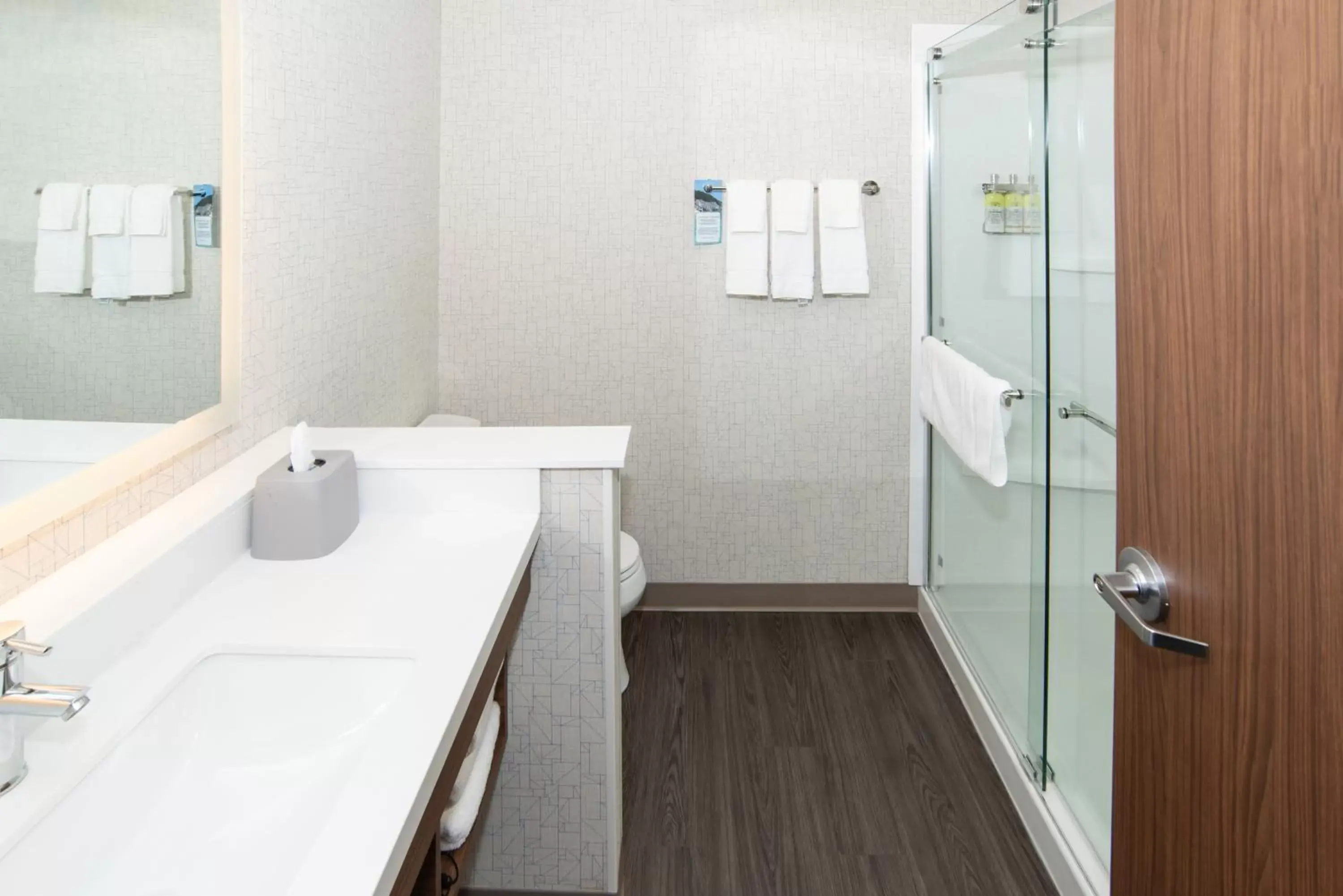 Bathroom in Holiday Inn Express & Suites - North Battleford, an IHG Hotel
