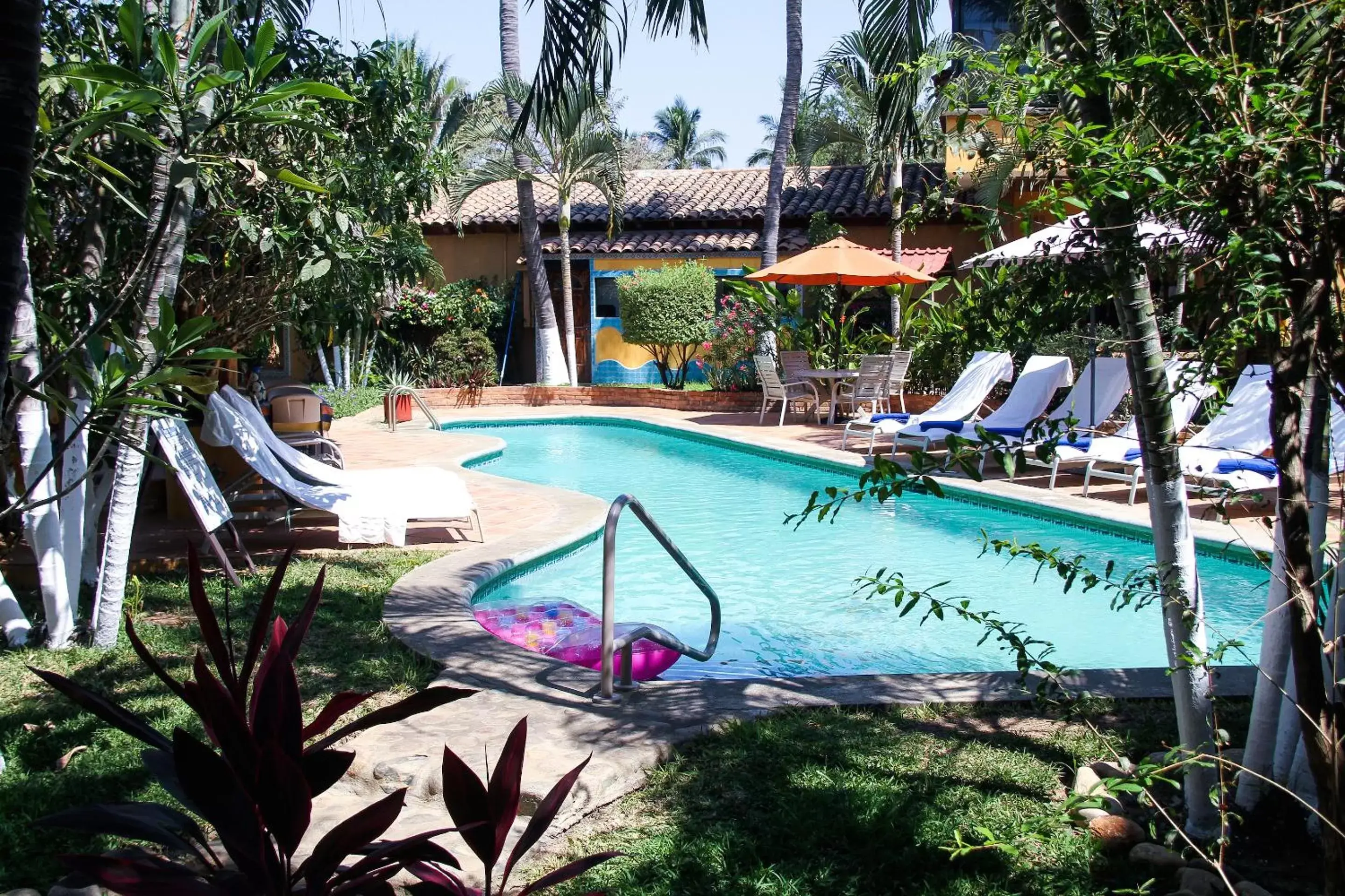 Garden, Swimming Pool in Hotel Casamar Suites