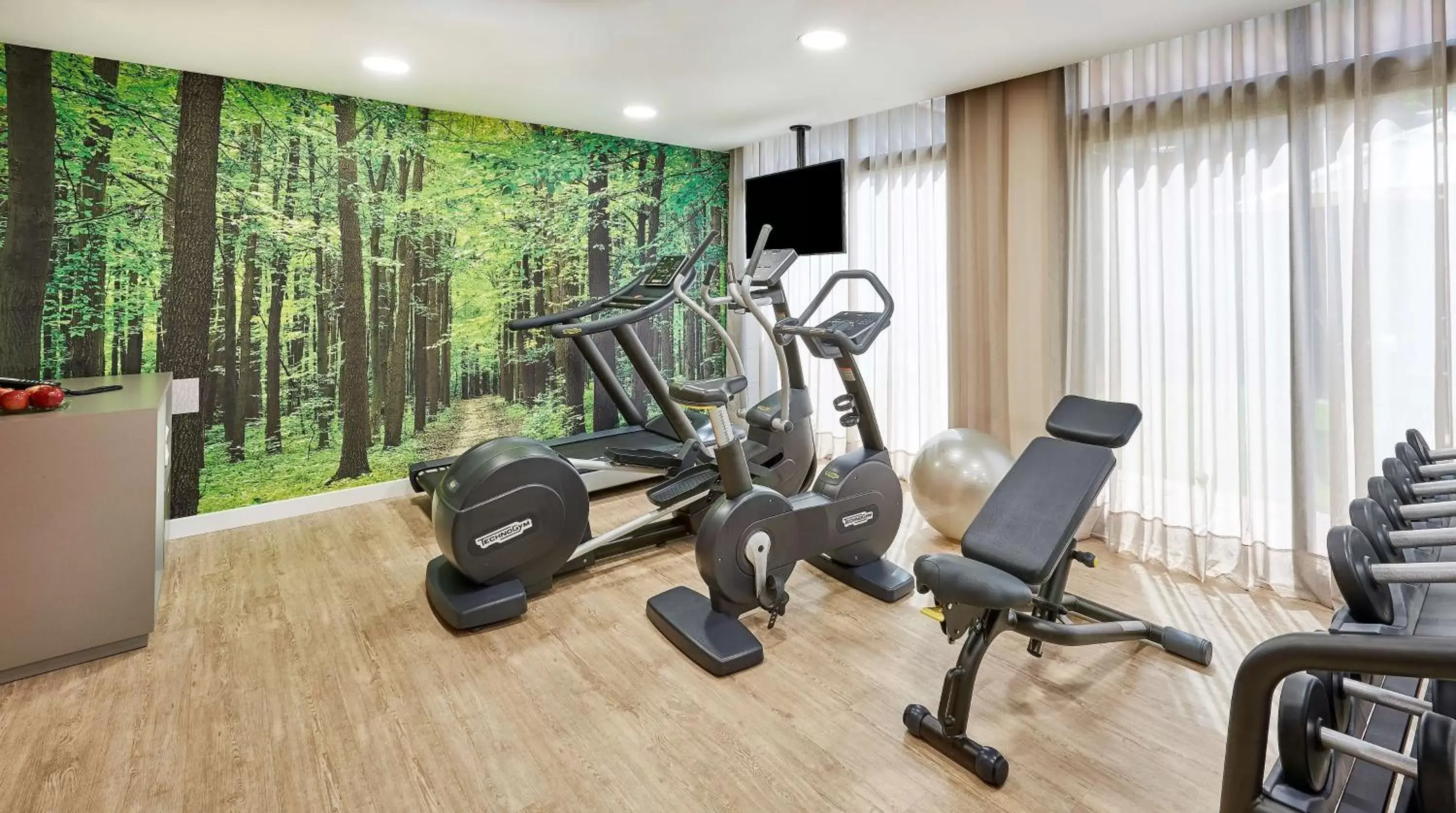 Activities, Fitness Center/Facilities in Sercotel Cornellà Barcelona