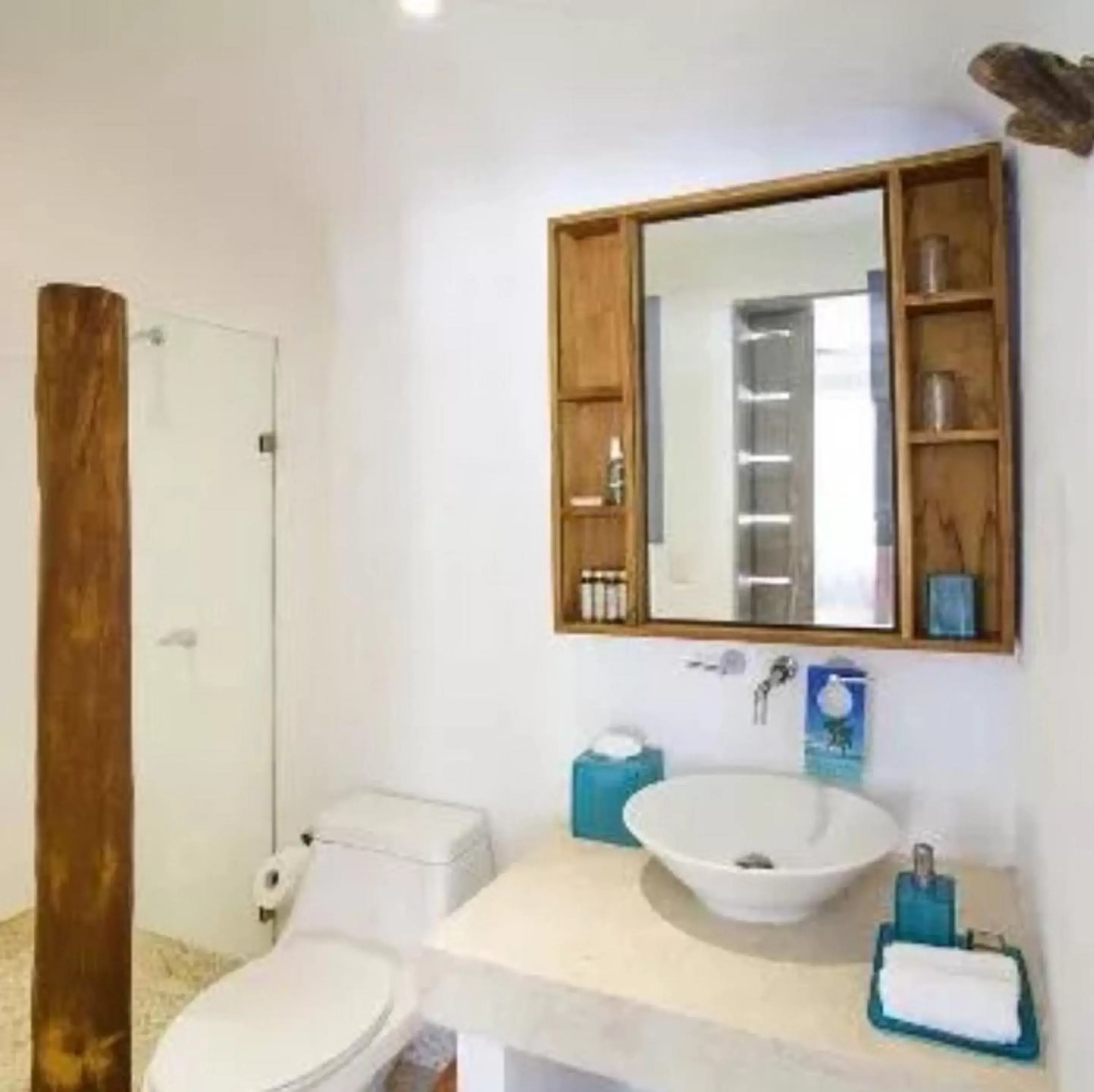 Toilet, Bathroom in Mahekal Beach Front Resort & Spa