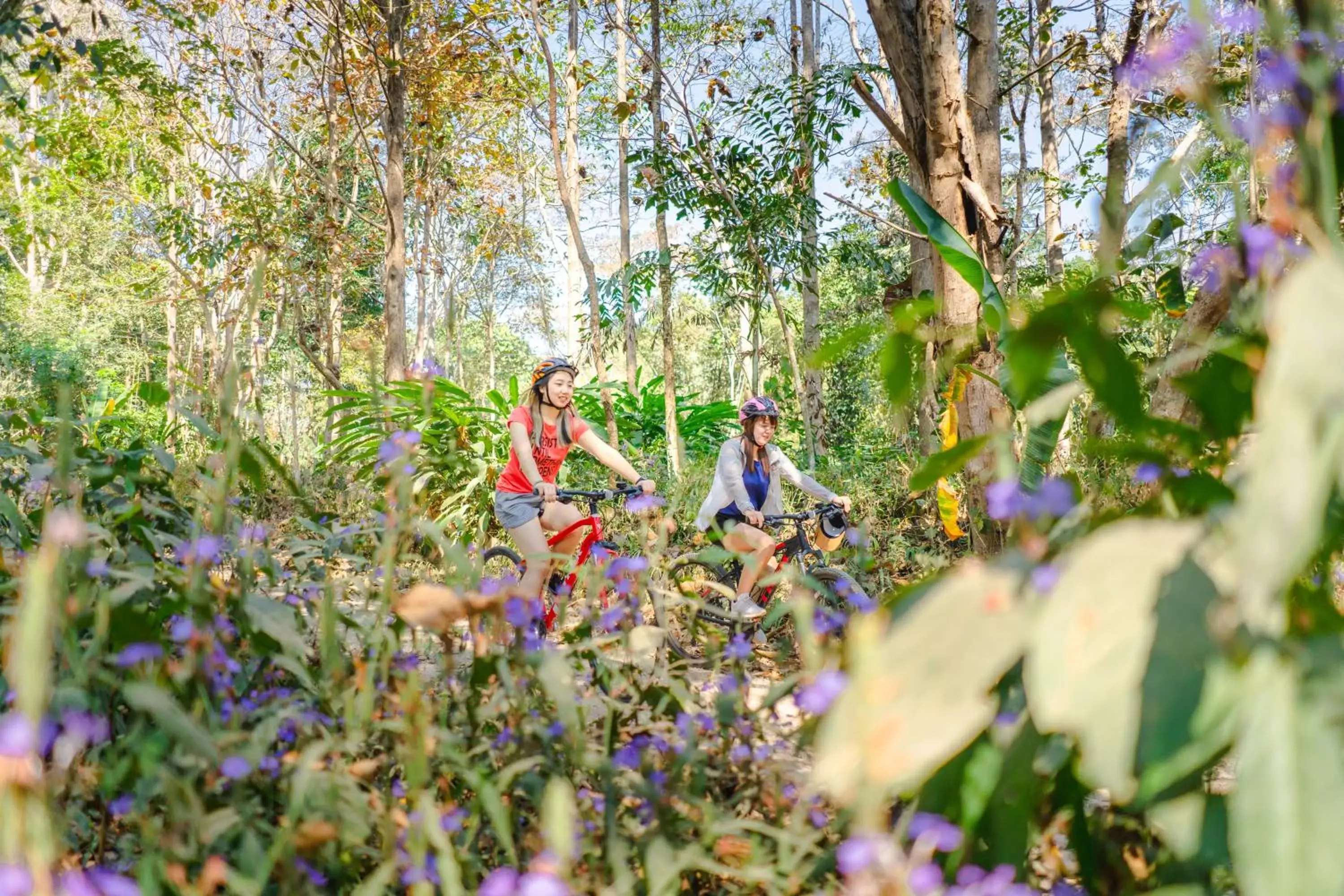 Natural landscape in Katiliya Mountain Resort And Spa