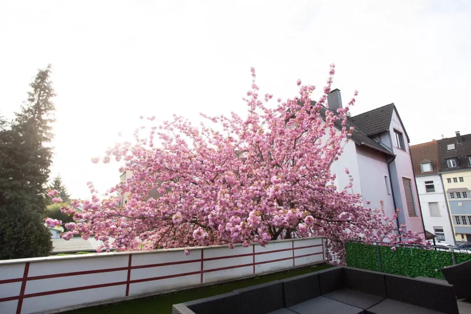 Balcony/Terrace in Hotel Am Sportpark