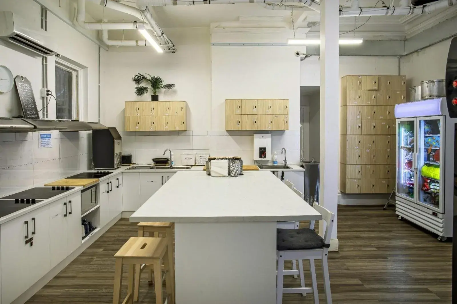 Seating area, Kitchen/Kitchenette in Tequila Sunrise Hostel