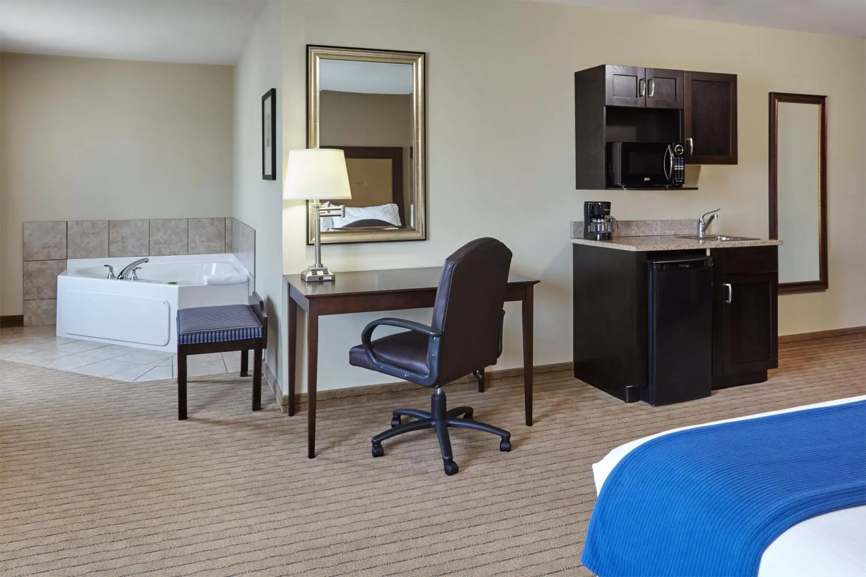 Photo of the whole room in Holiday Inn Express & Suites Madison-Verona, an IHG Hotel