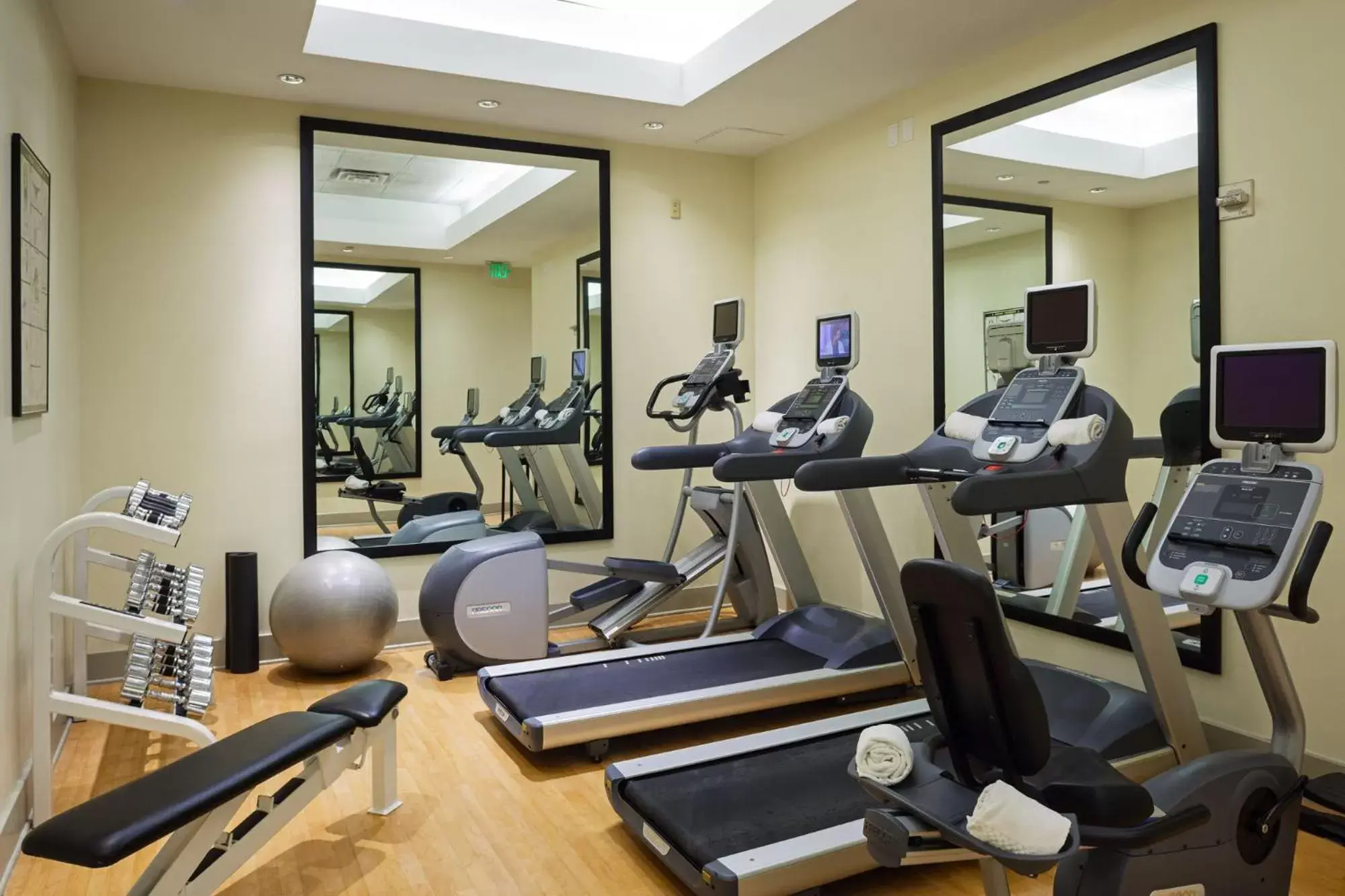 Fitness centre/facilities, Fitness Center/Facilities in Hotel Teatro