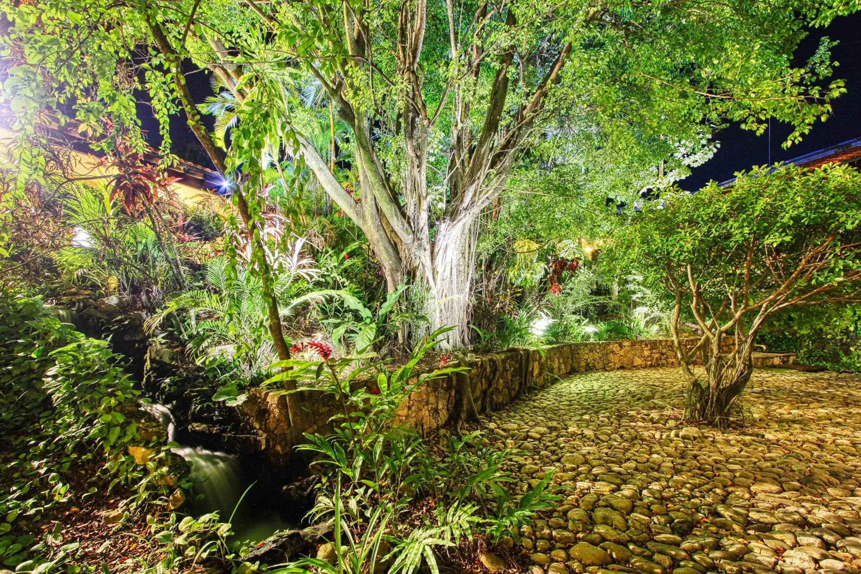 Garden in Hotel Ciudad Real Palenque