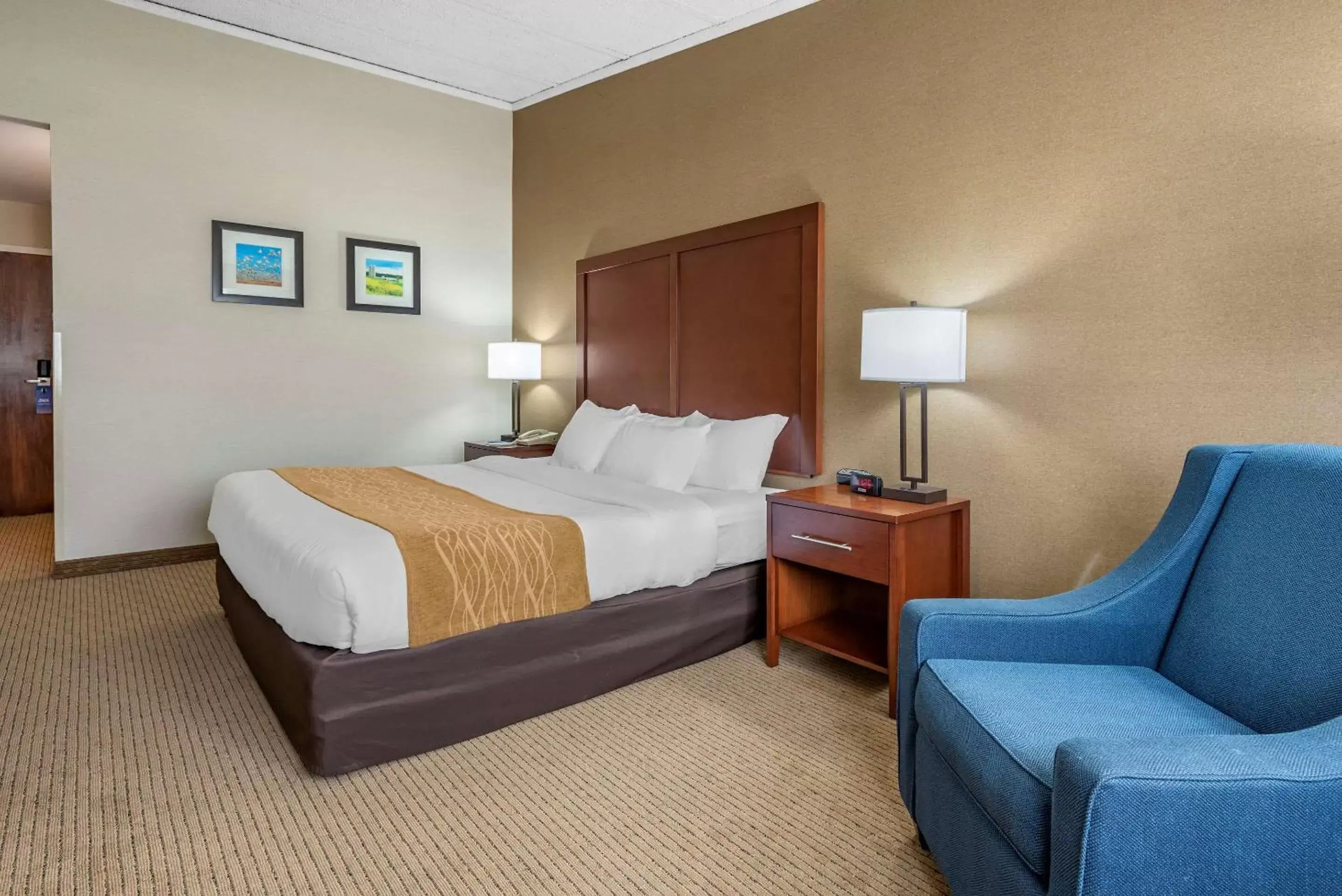 Photo of the whole room, Bed in Comfort Inn Lancaster County North