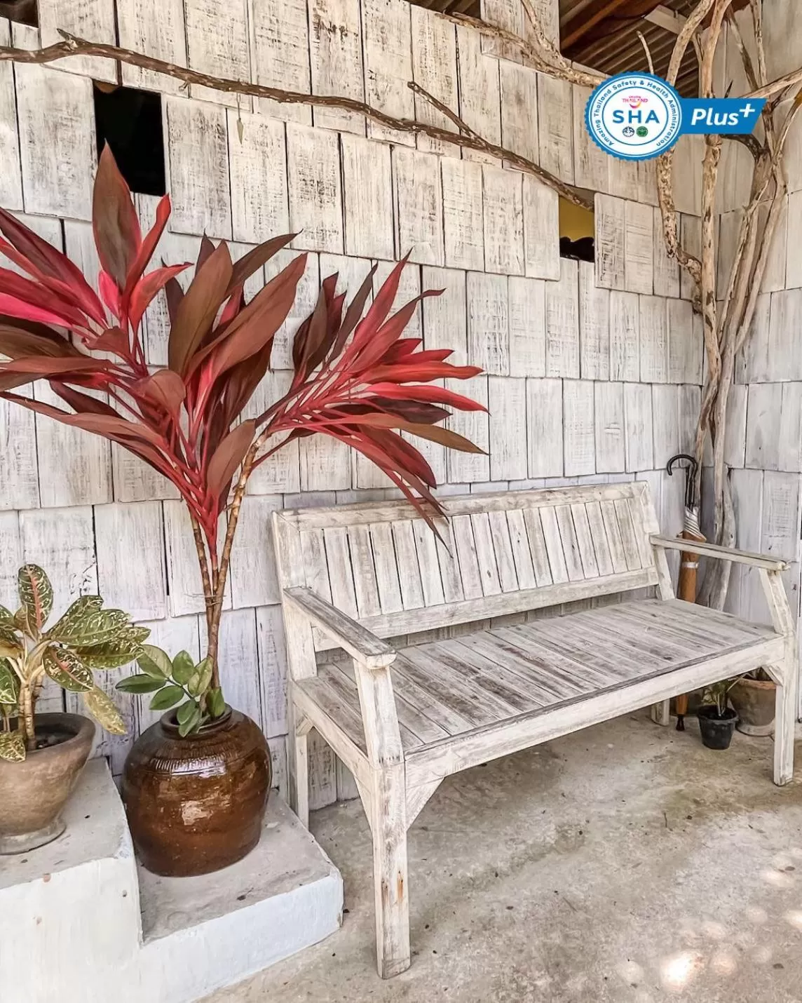 Property building in Baan Bua Cottage SHA EXTRA PLUS B5510